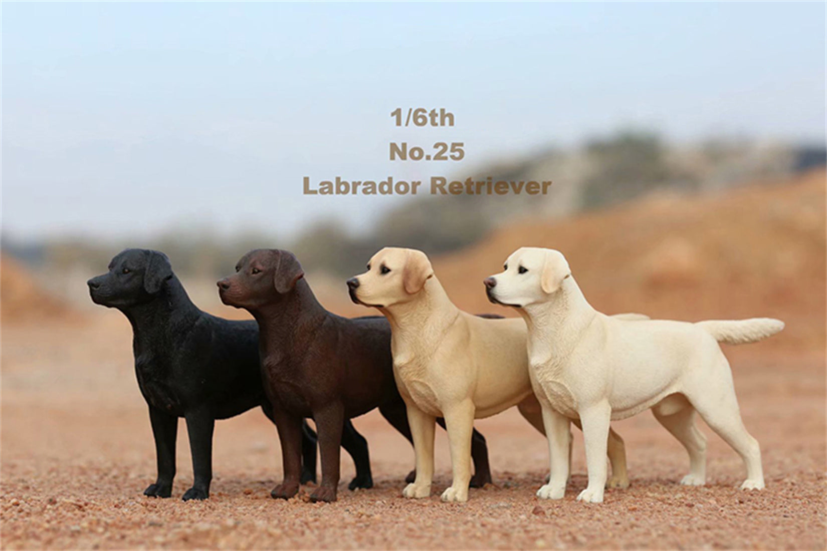 1/6 Labrador Retriever Figure