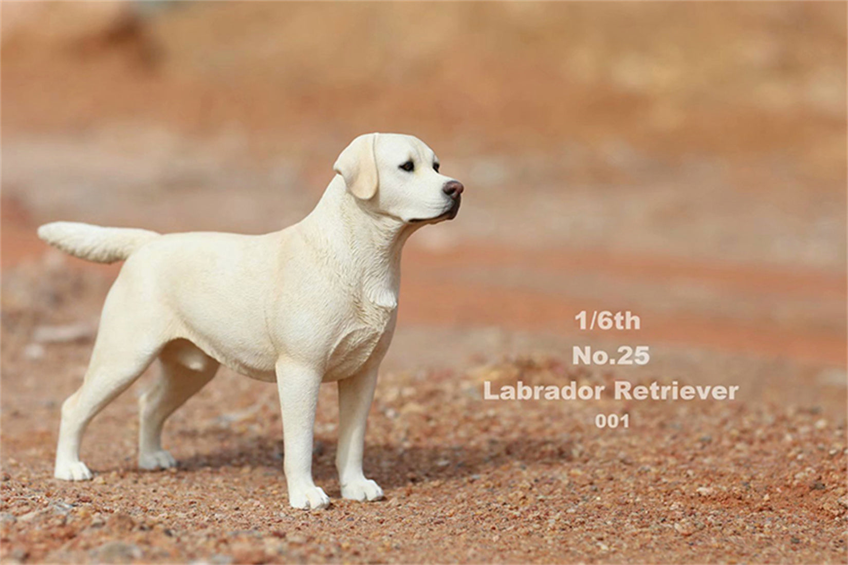 1/6 Labrador Retriever Figure