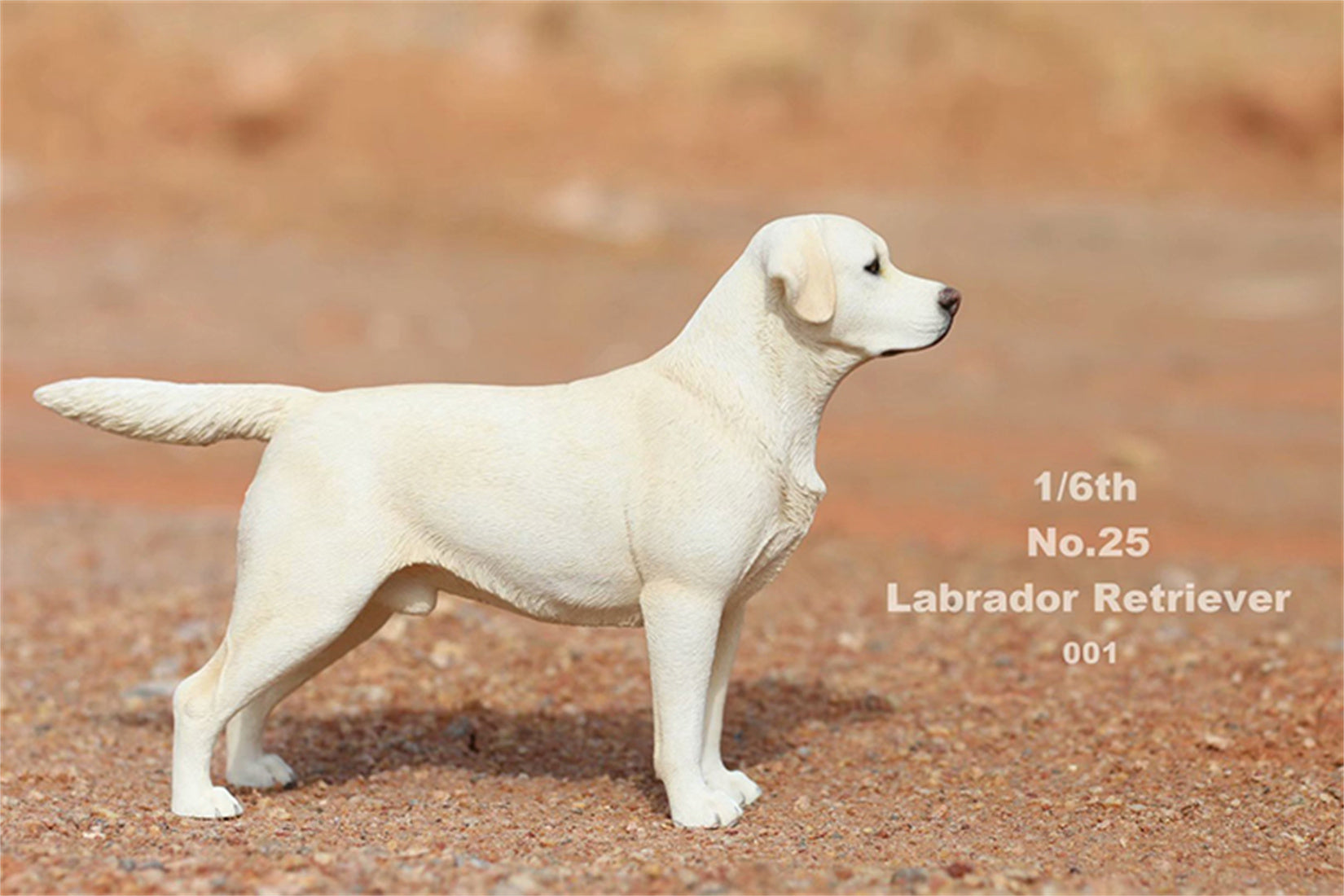 1/6 Labrador Retriever Figure