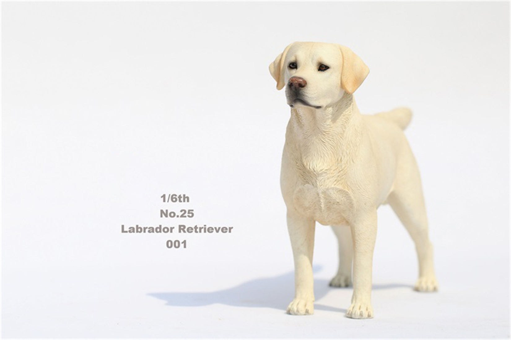 1/6 Labrador Retriever Figure