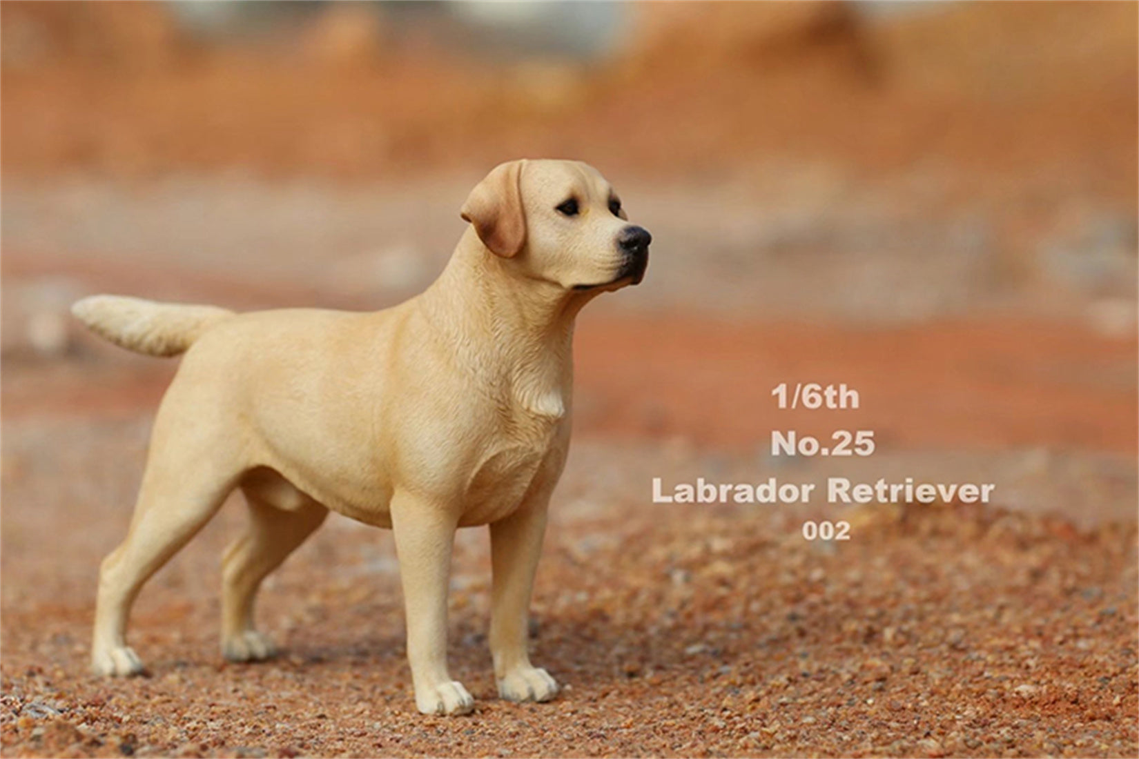 1/6 Labrador Retriever Figure