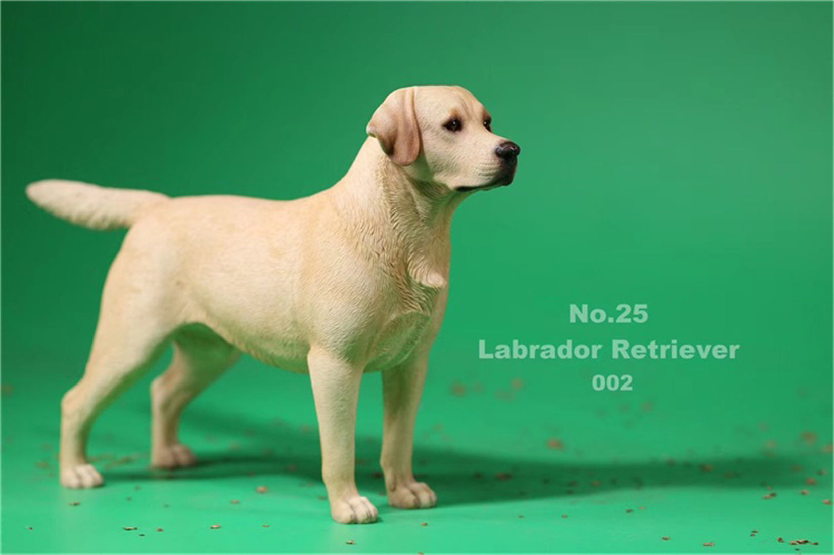 1/6 Labrador Retriever Figure