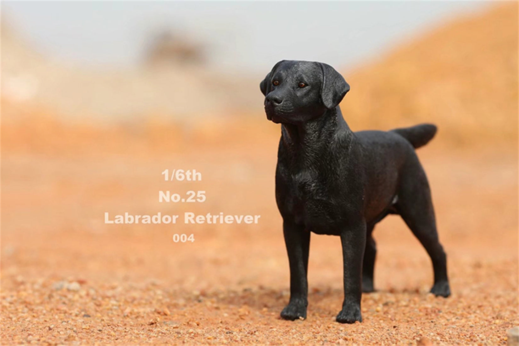 1/6 Labrador Retriever Figure