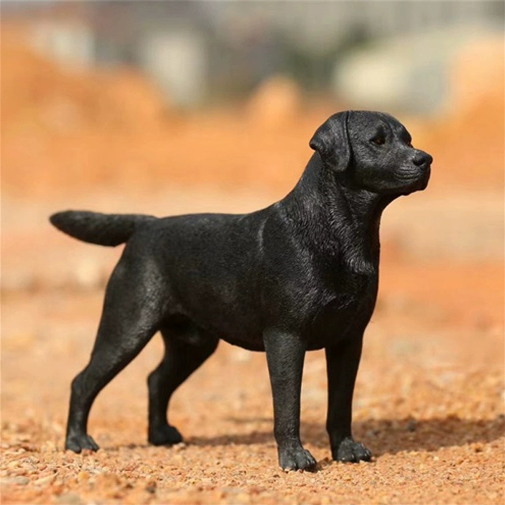 1/6 Labrador Retriever Figure