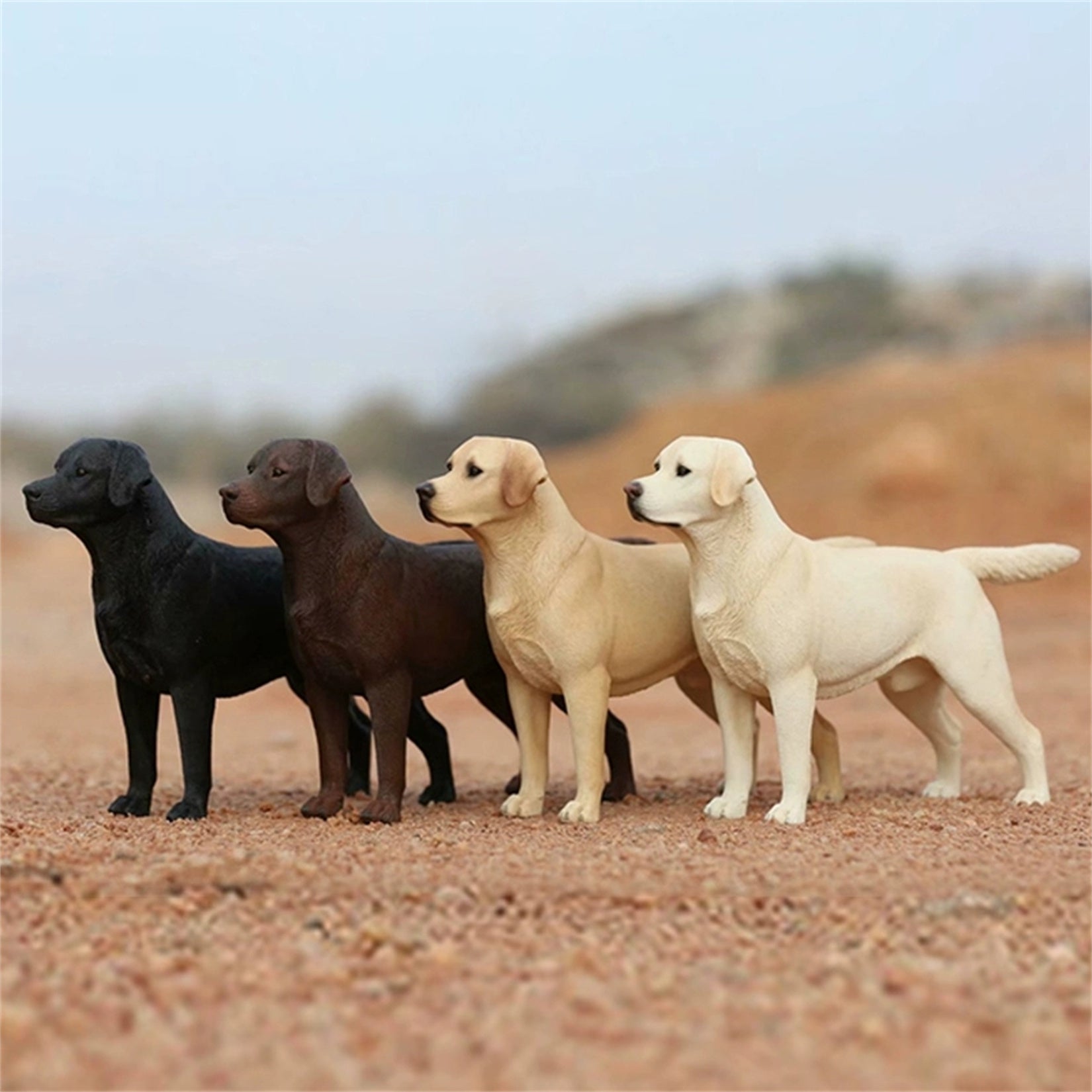 1/6 Labrador Retriever Figure