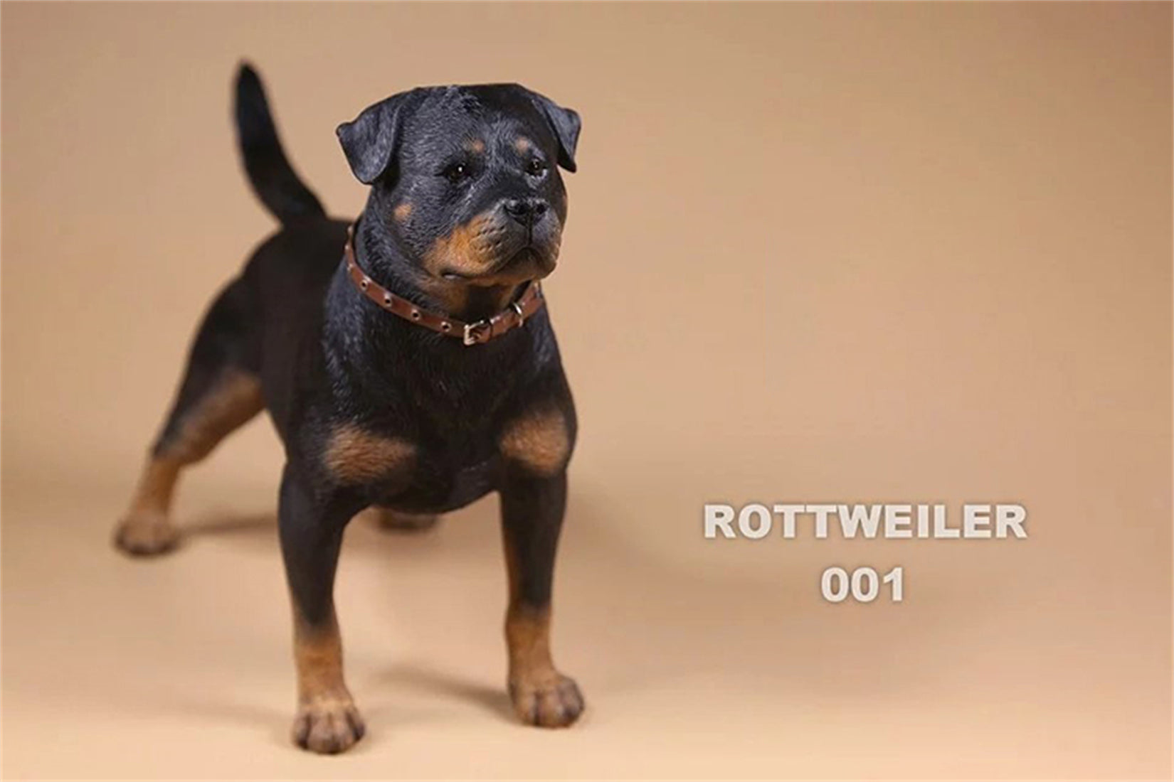 1/6 Rottweiler Loyal Dog Figure