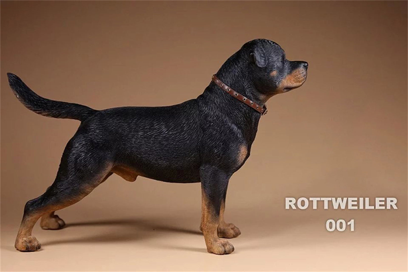 1/6 Rottweiler Loyal Dog Figure