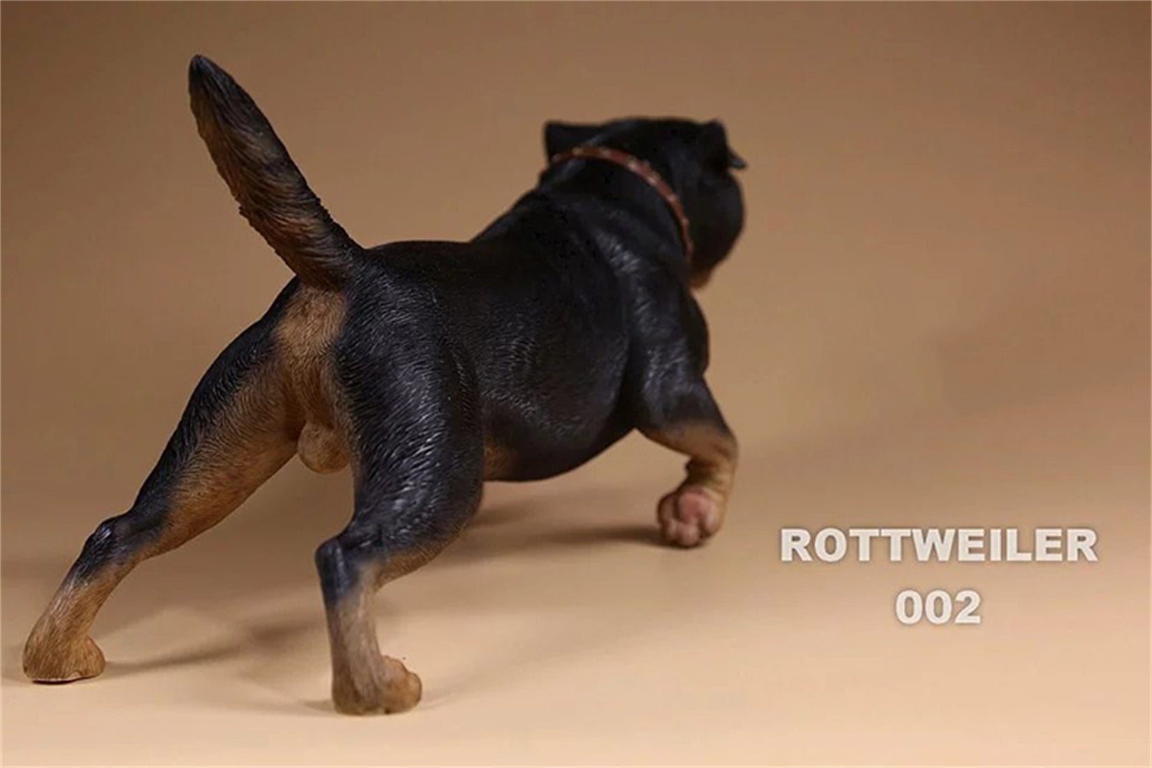 1/6 Rottweiler Loyal Dog Figure