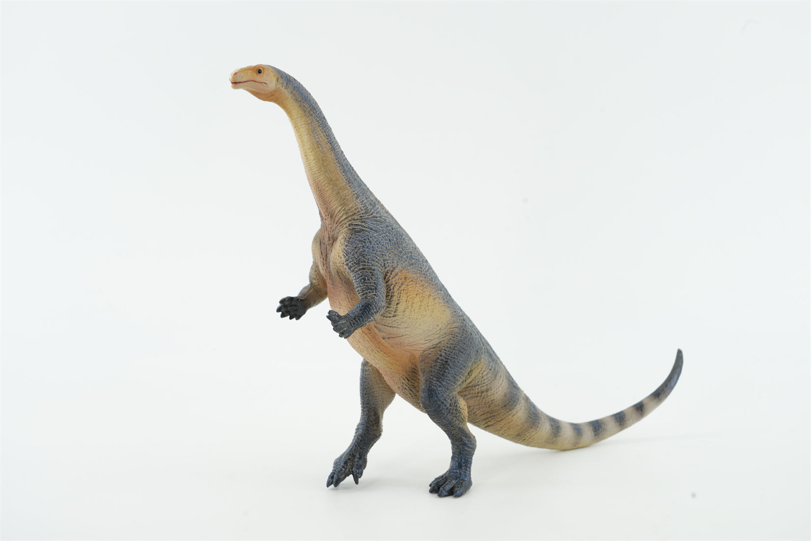 TNG Lufengosaurus Quetzalcoatlus Cryolophosaurus Saichania Sinosauropteryx Figure