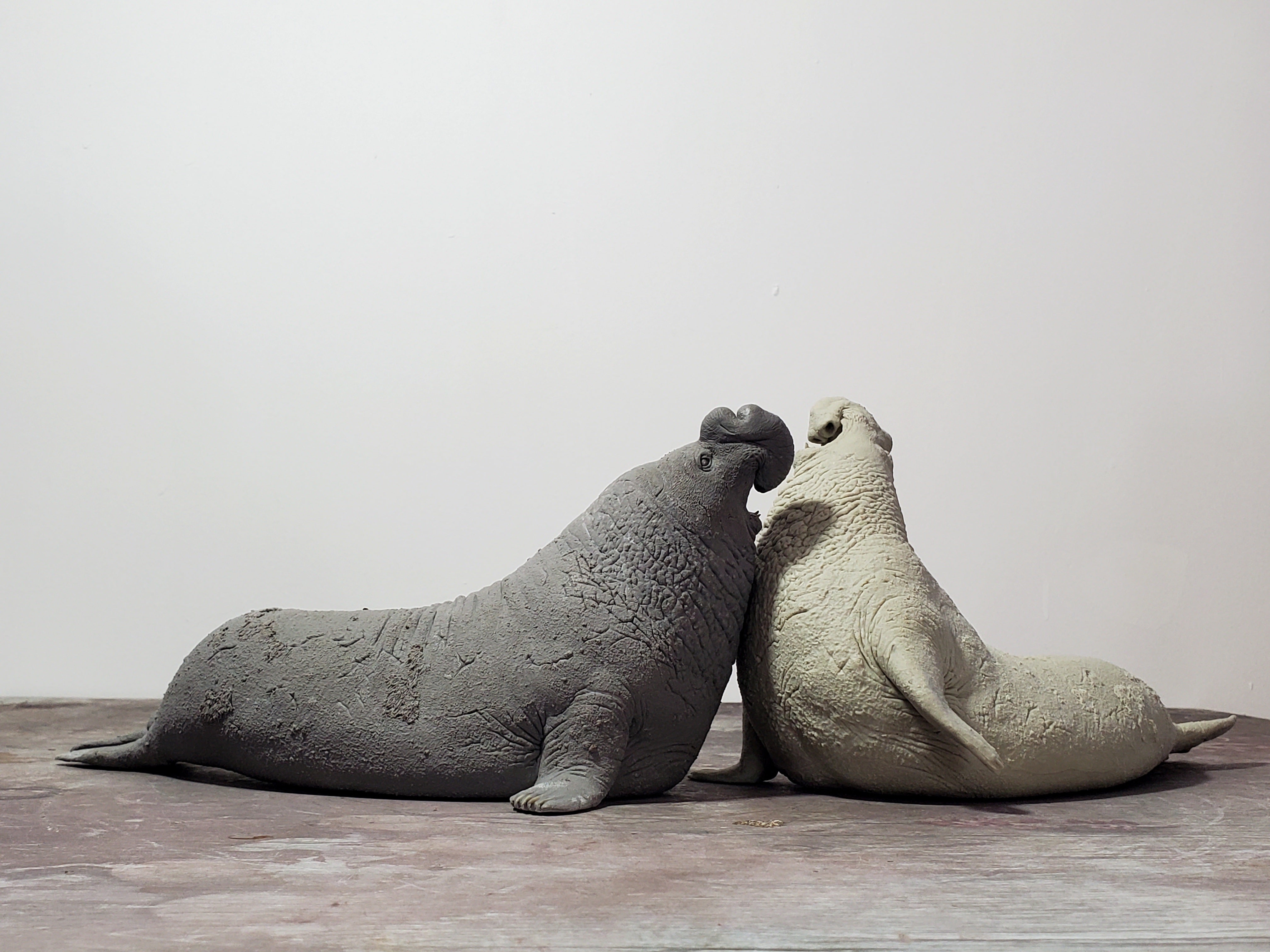 TUNAN Studio 1/15~18 Scale Southern elephant-seal Model