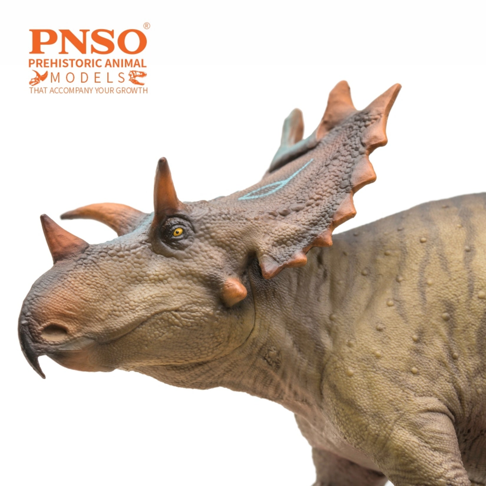 PNSO 87 Judith Spiclypeus Model