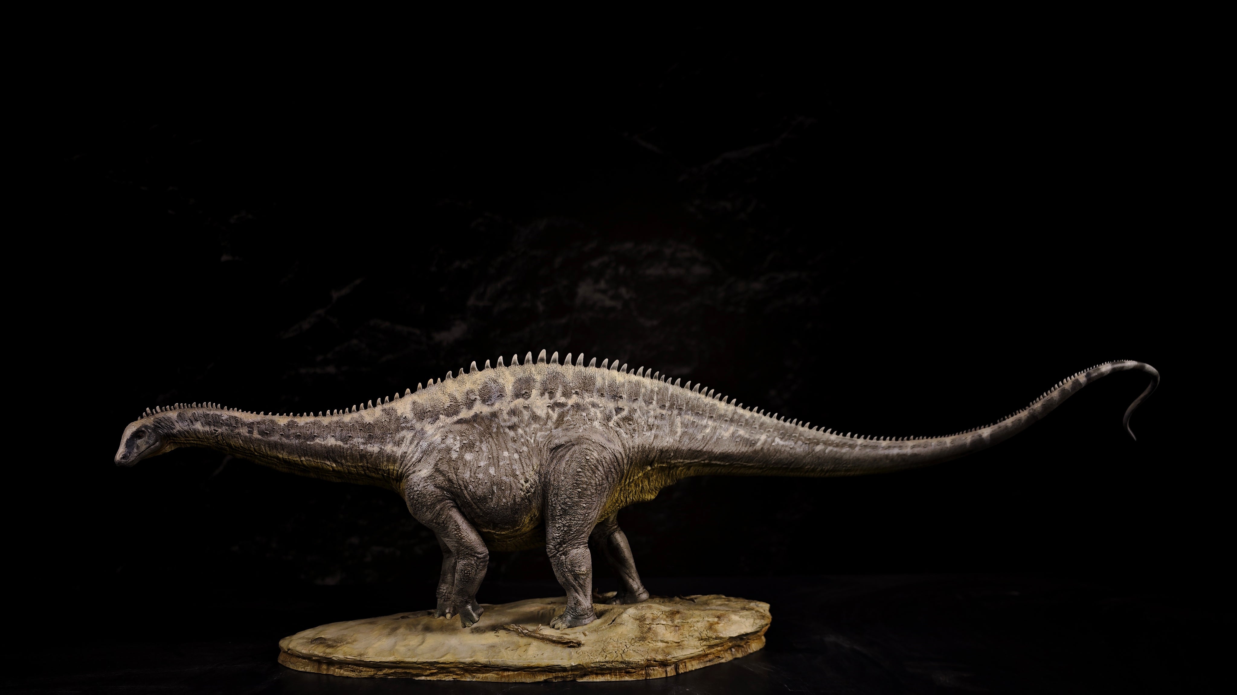 Anningpale 1:35 Scale Maraapunisaurus Model