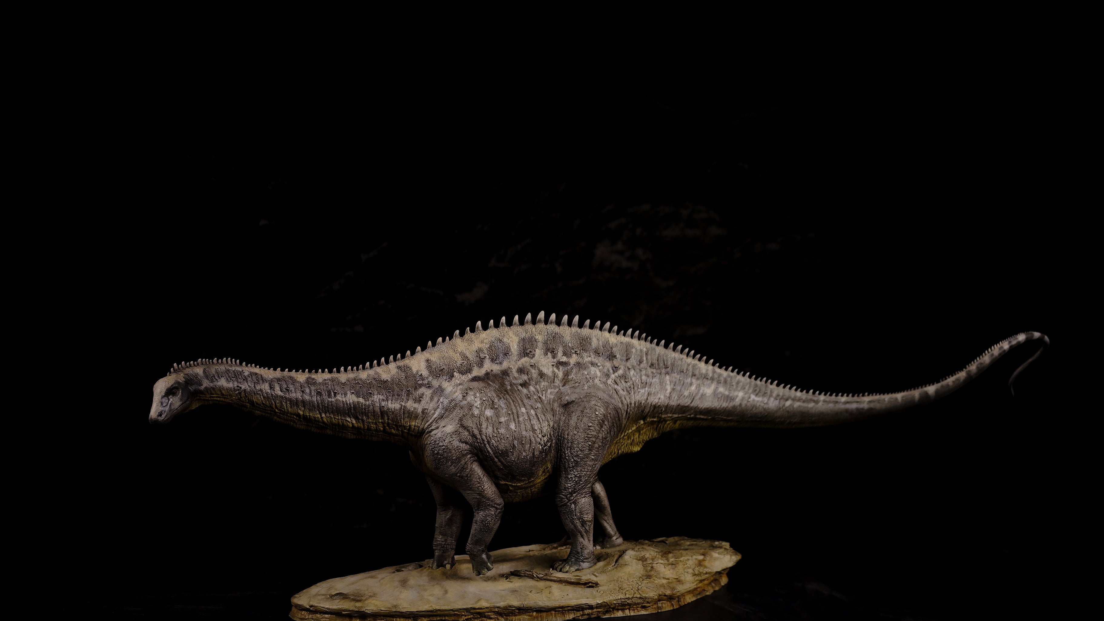 Anningpale 1:35 Scale Maraapunisaurus Model