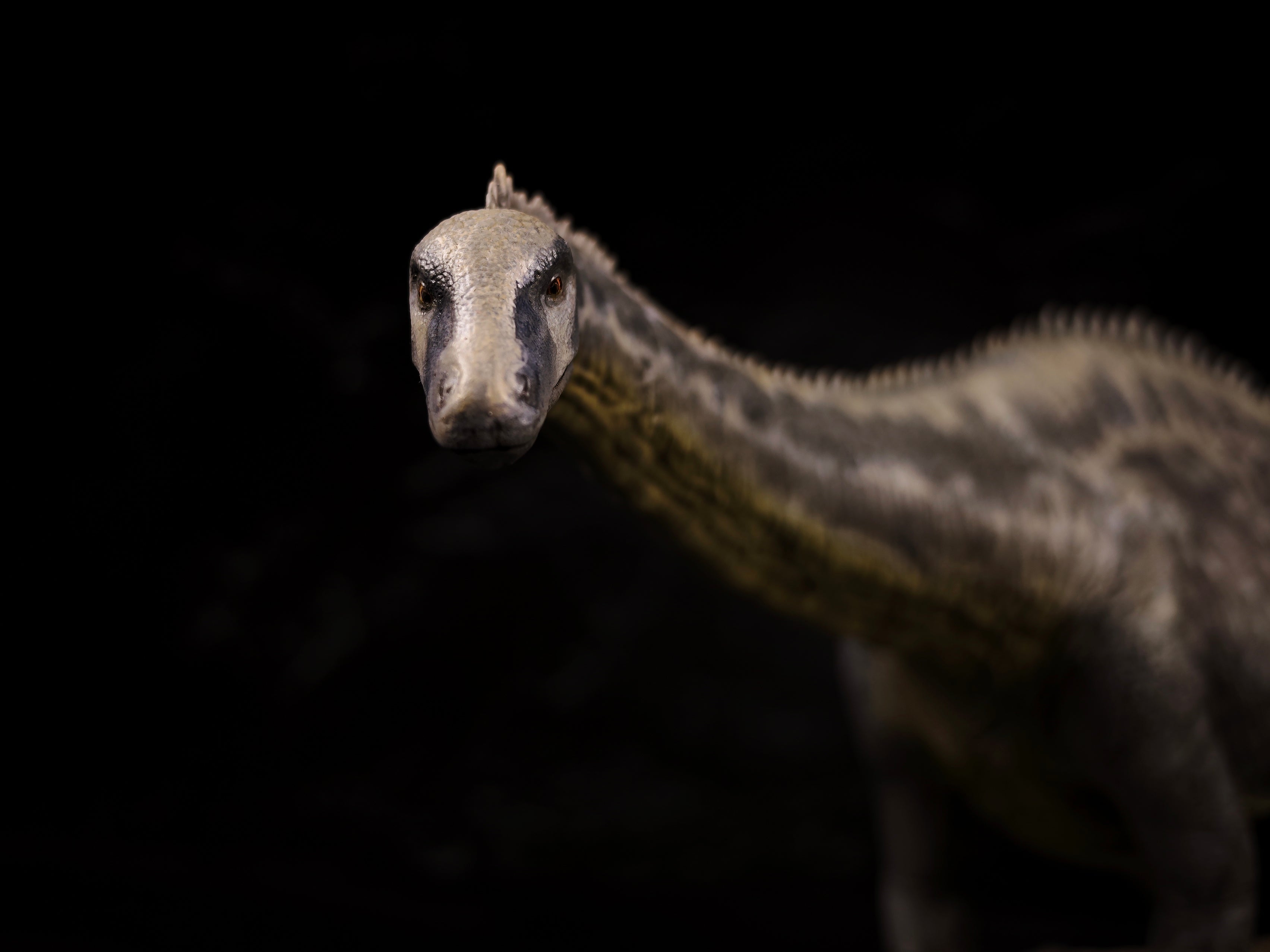 Anningpale 1:35 Scale Maraapunisaurus Model