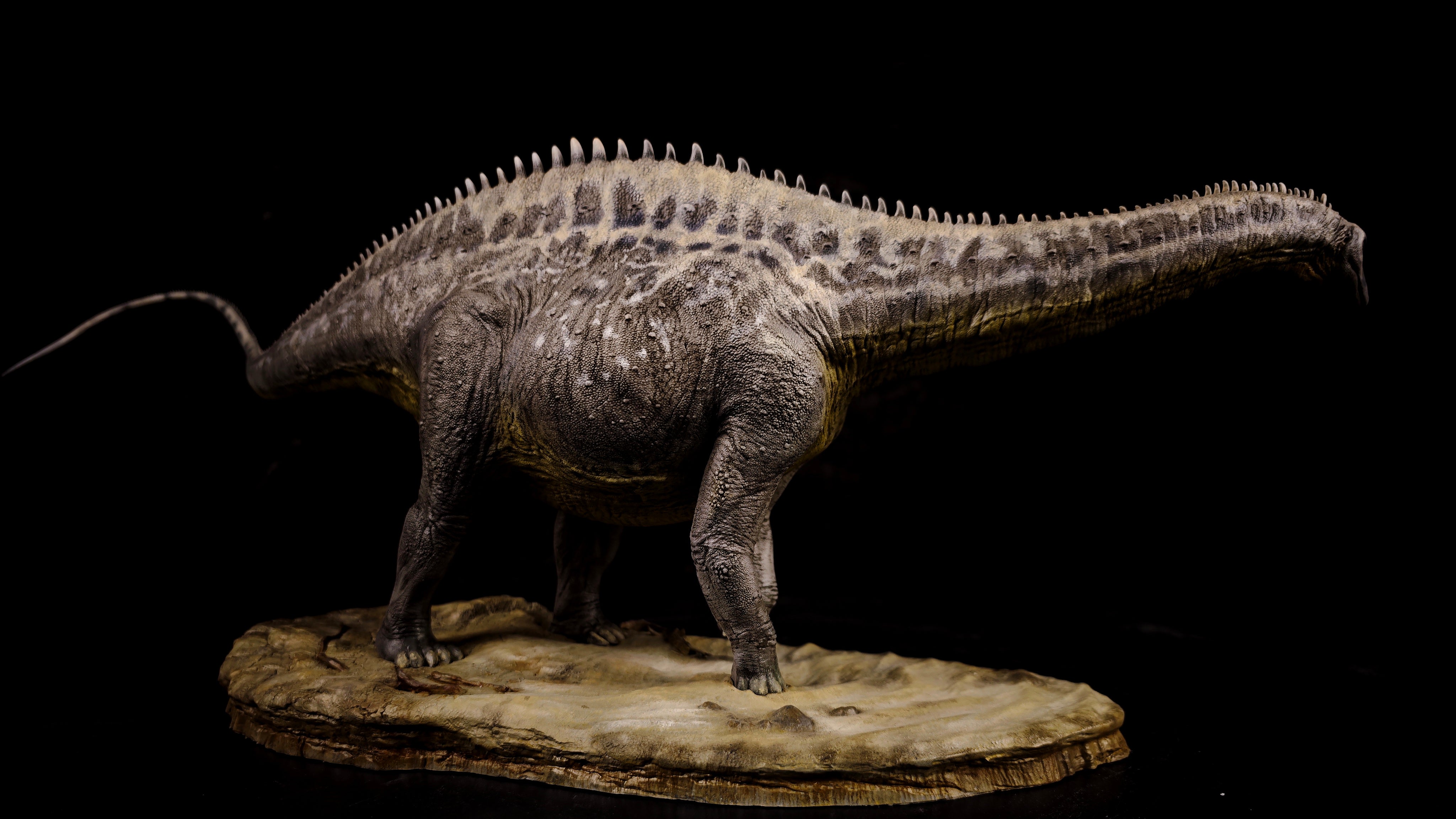 Anningpale 1:35 Scale Maraapunisaurus Model