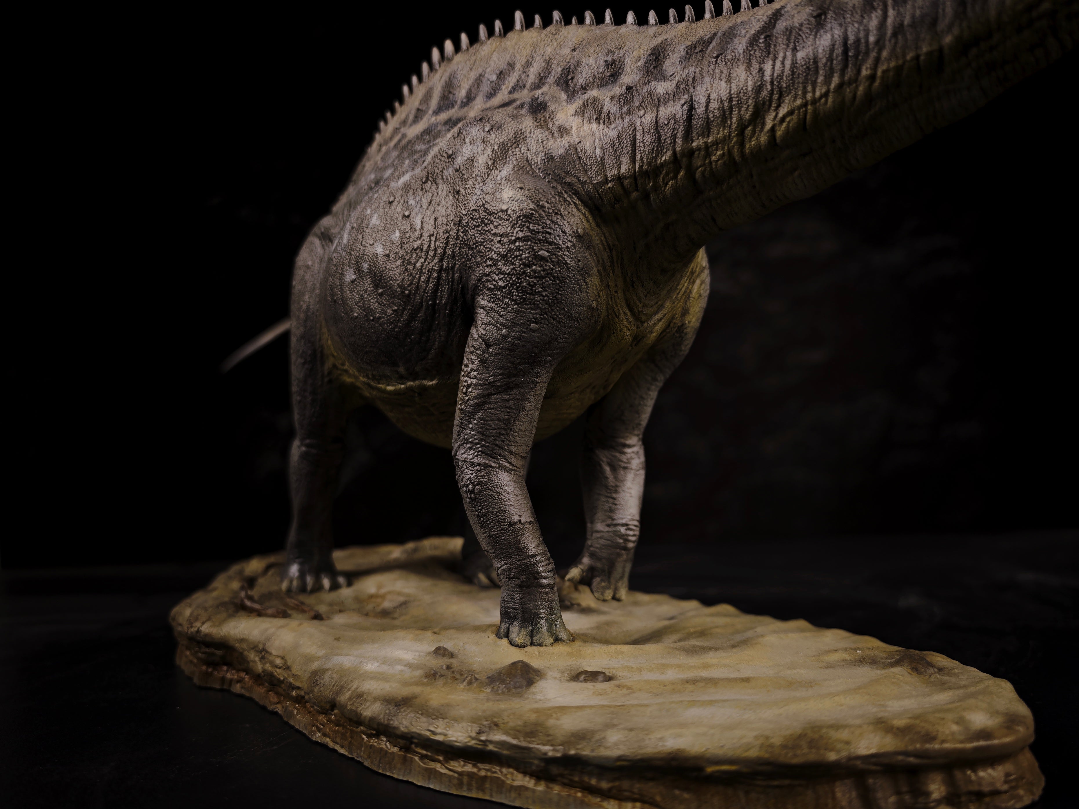 Anningpale 1:35 Scale Maraapunisaurus Model