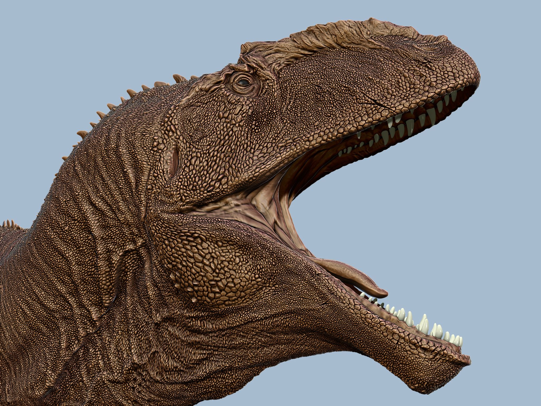 David Krentz 1:10 Scale Giganotosaurus Statue