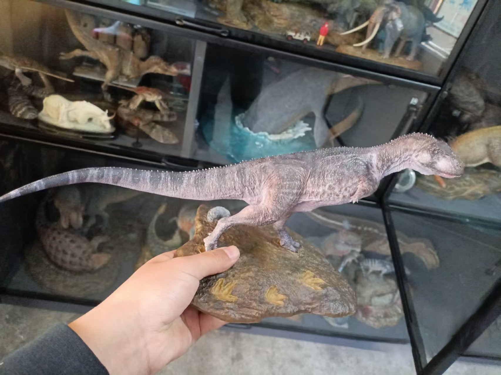 SHOWANNA 1:15 Scale Ilokelesia Scene Statue