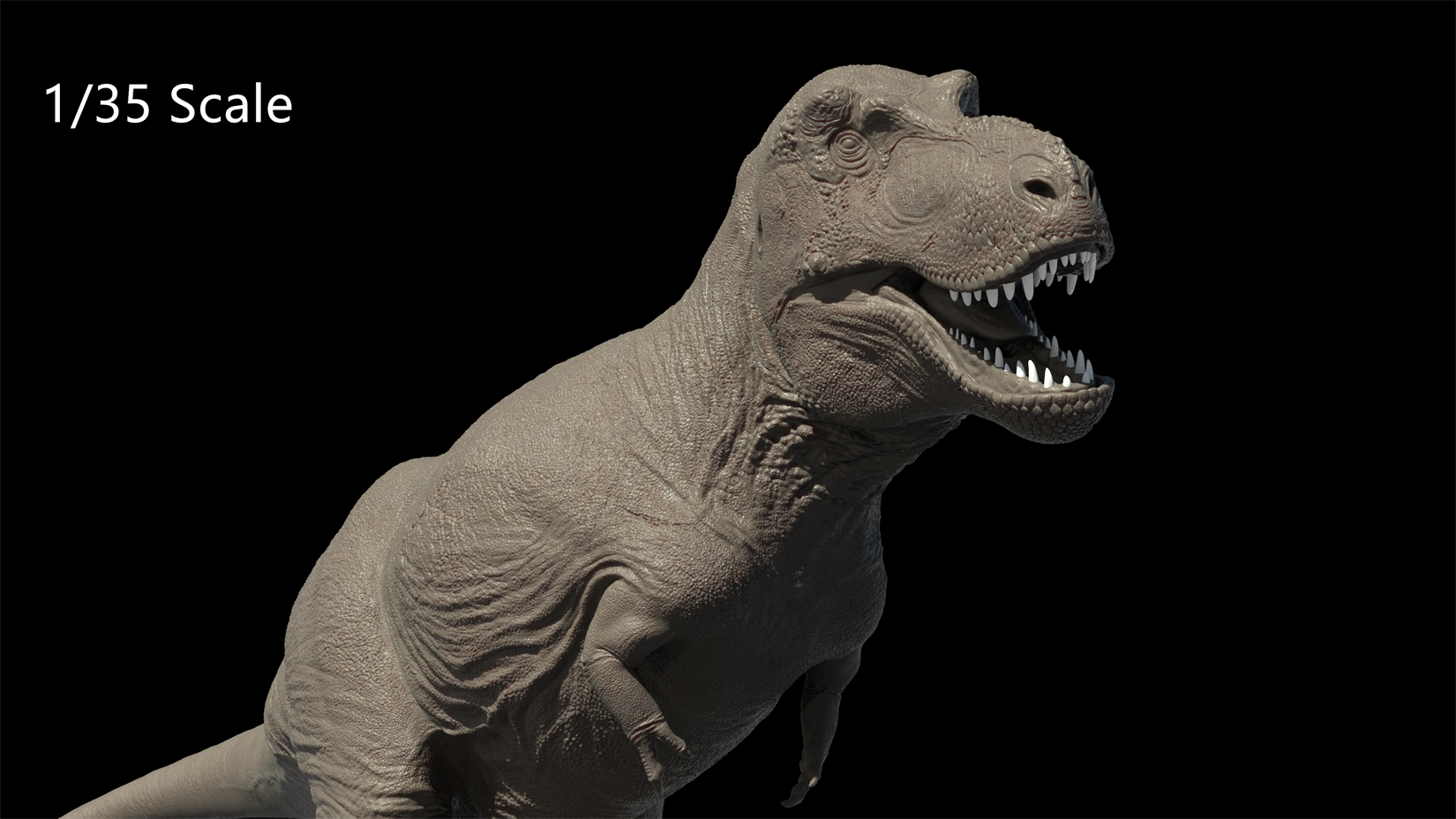 Zeta Studio Montana Tyrannosaurus Rex Model