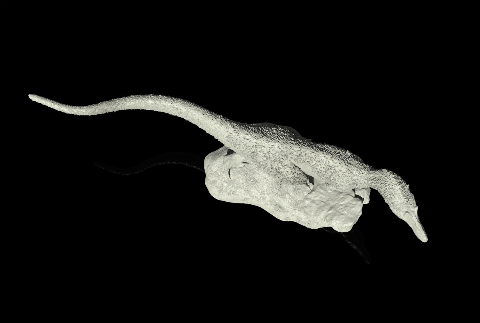 LANATIMESHOP 1/35 Scale Alioramus remotus Rael Model