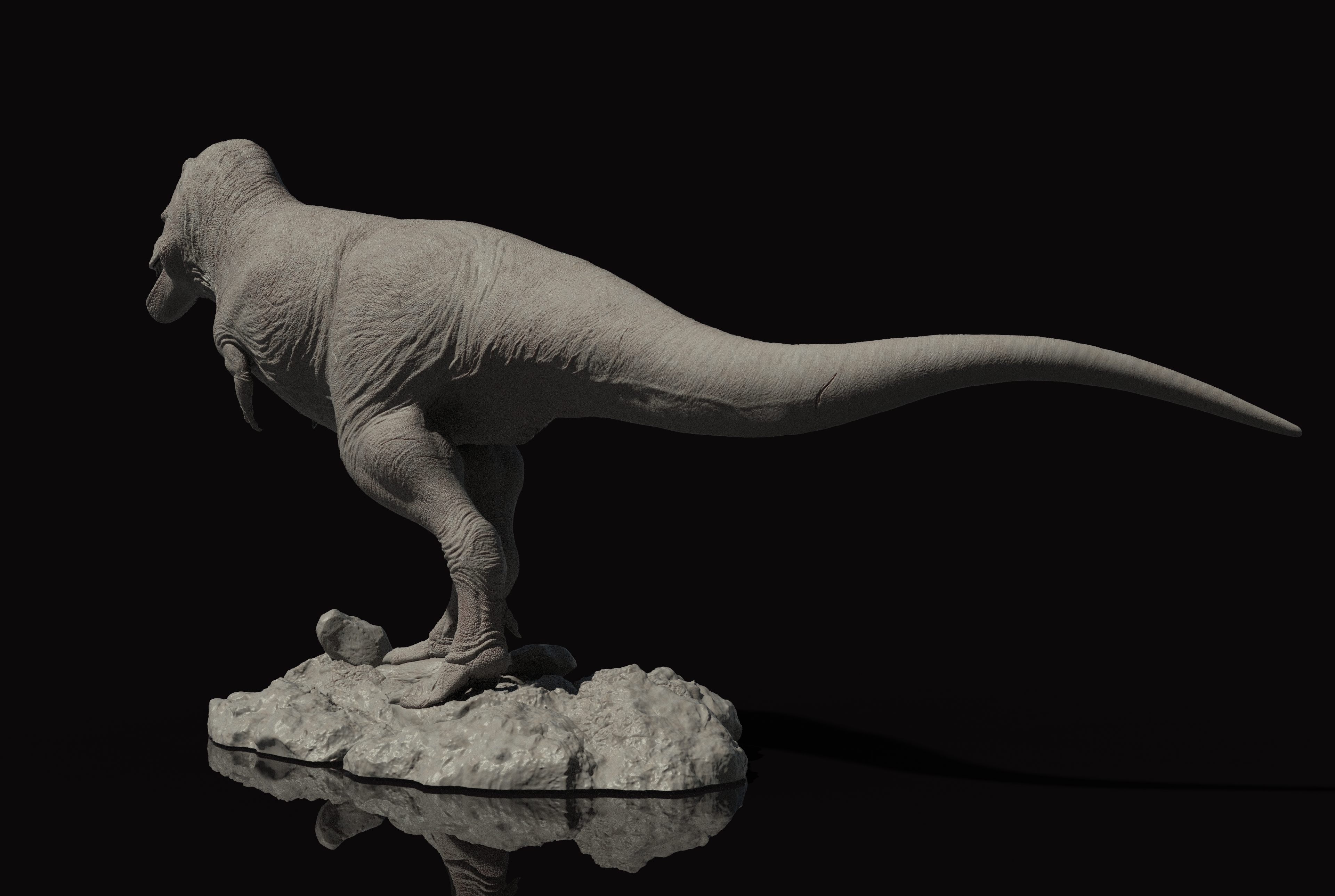 Zeta Studio Montana Tyrannosaurus Rex Model