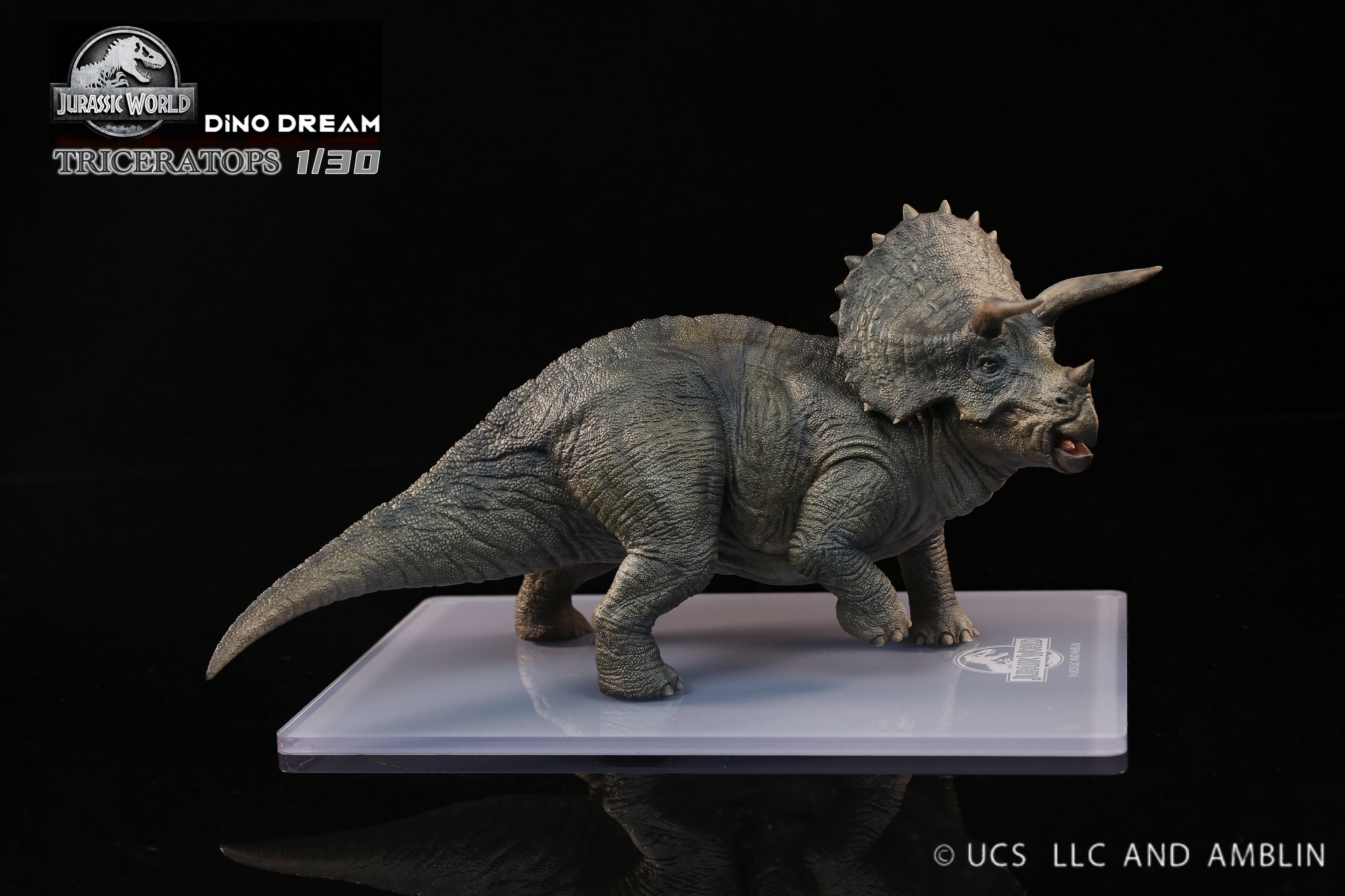 DINO DREAM 1:30 Scale Triceratops Statue