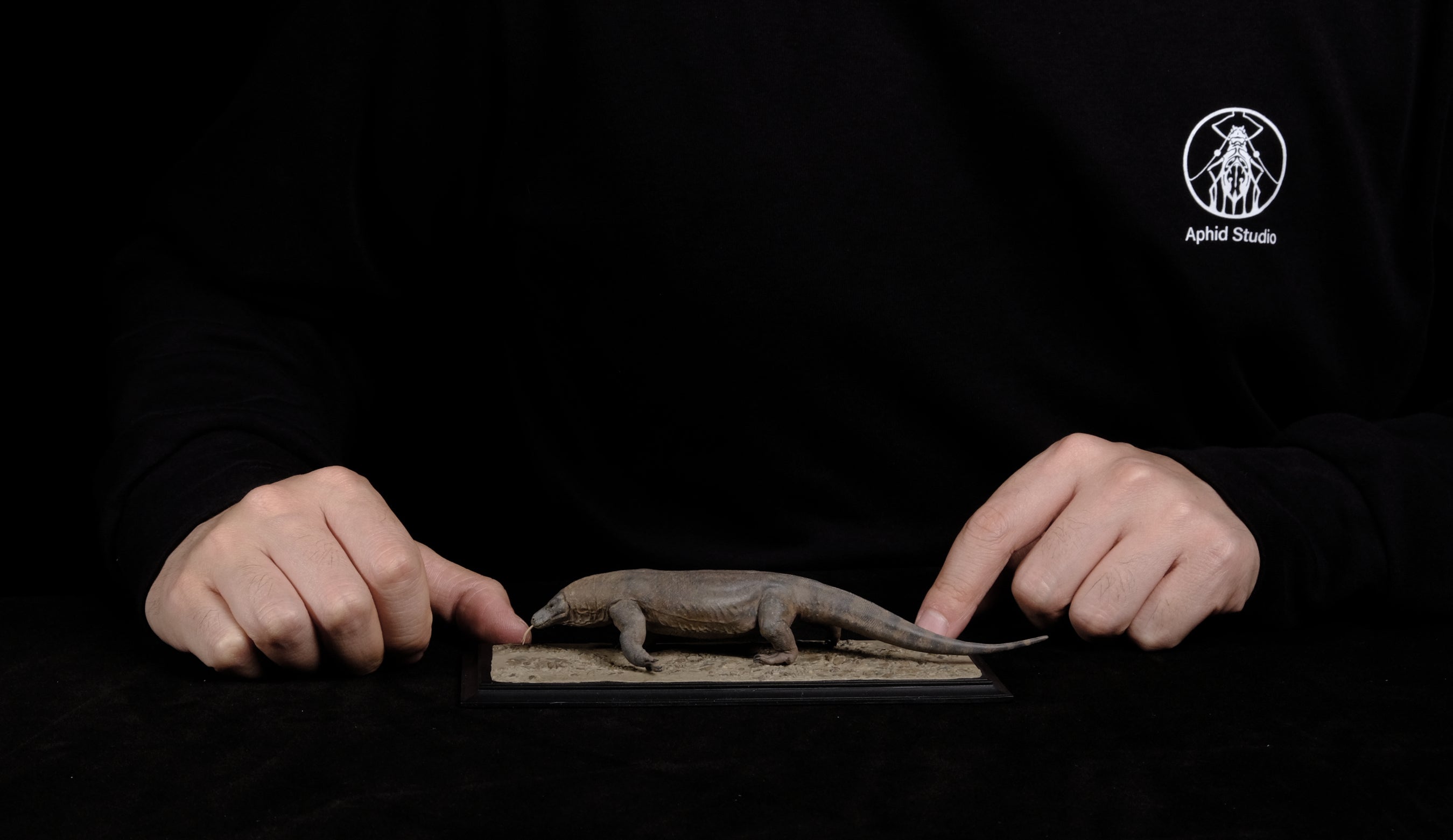 APHID STUDIO Komodo Dragon Model
