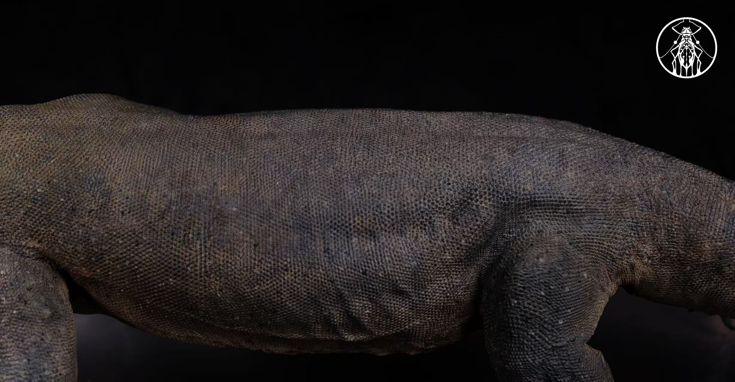 APHID STUDIO Komodo Dragon Model