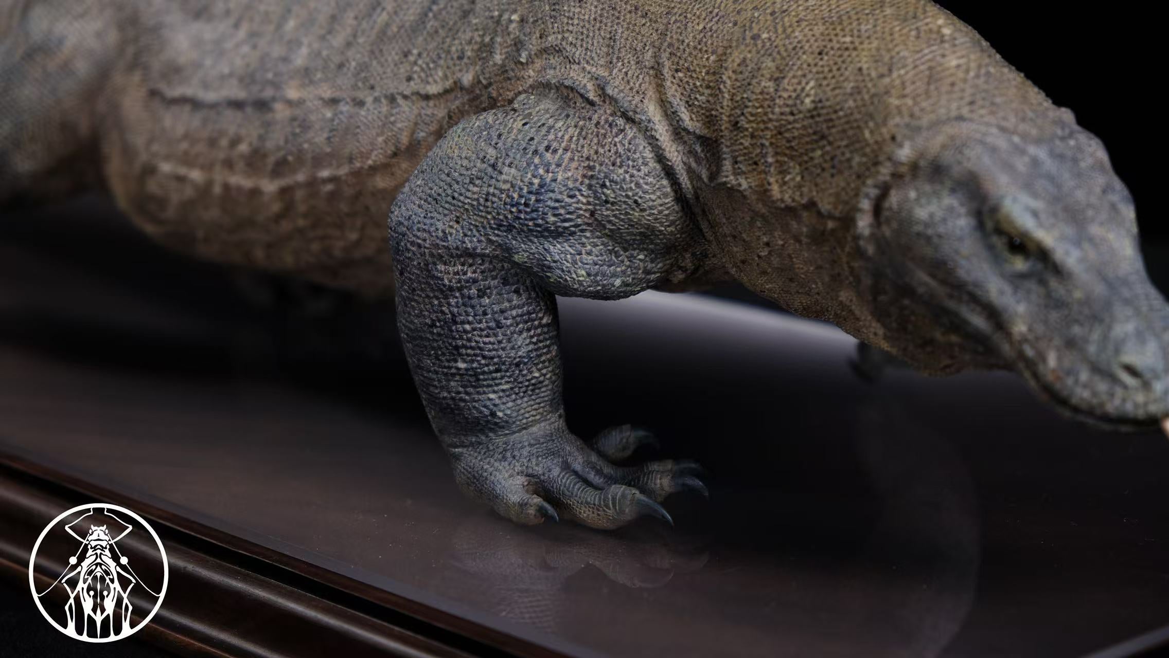 APHID STUDIO Komodo Dragon Model