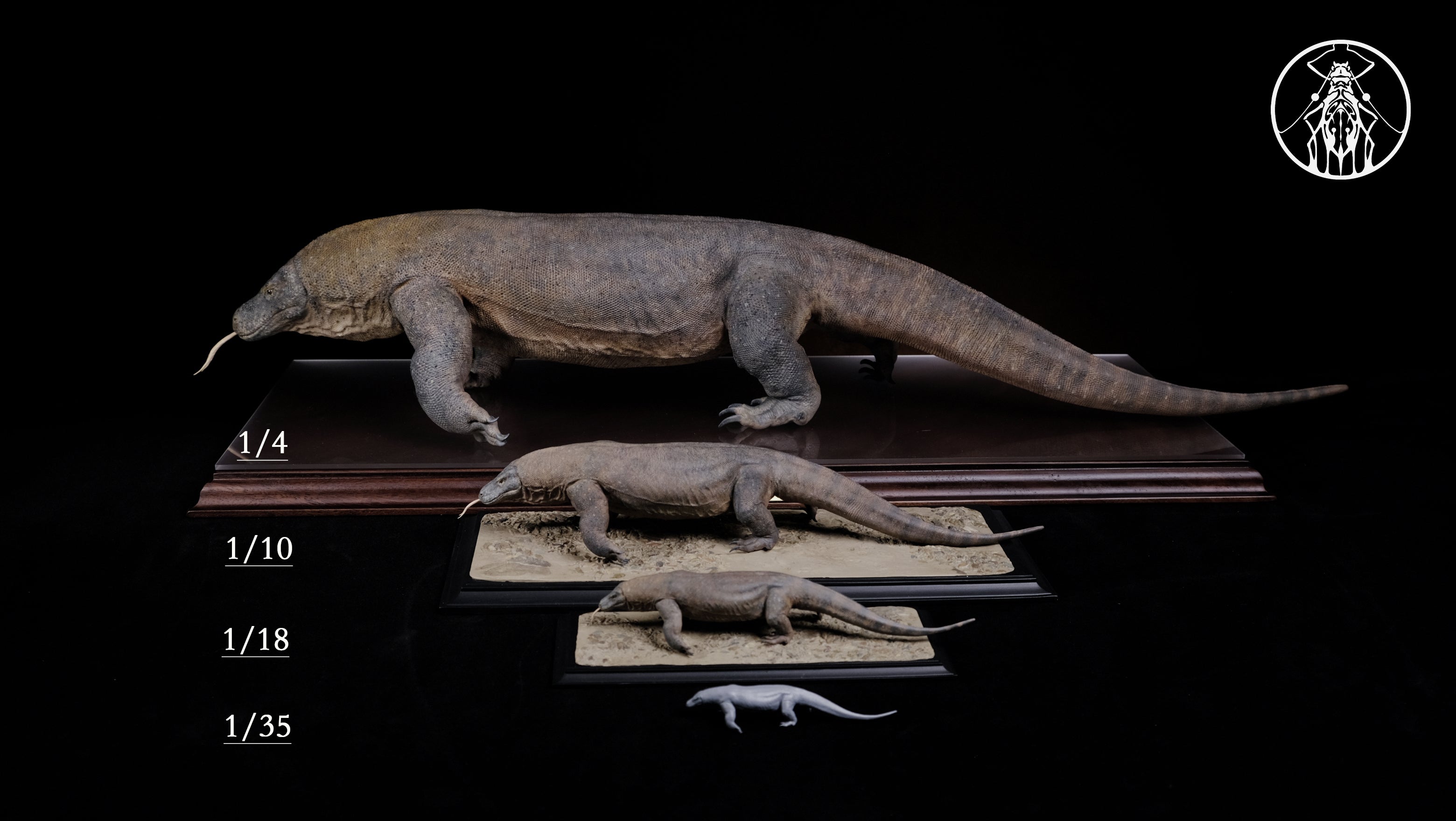 APHID STUDIO Komodo Dragon Model
