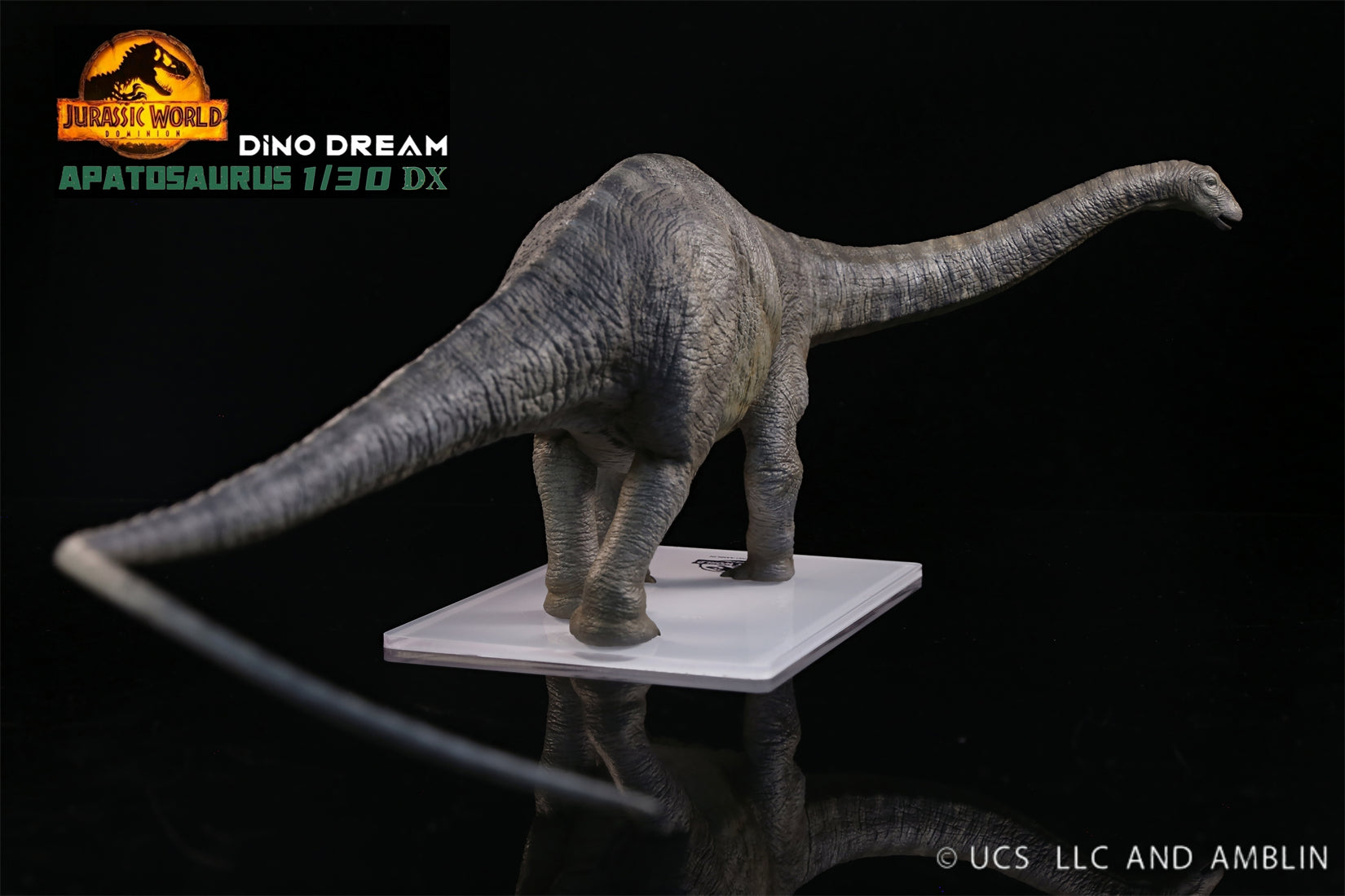 DINO DREAM 1:30 Scale Apatosaurus Model