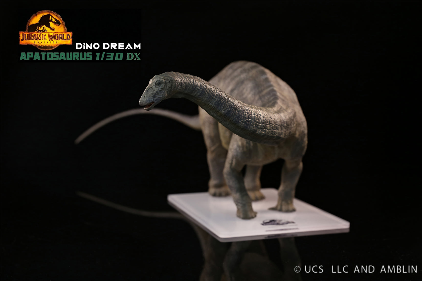 DINO DREAM 1:30 Scale Apatosaurus Model