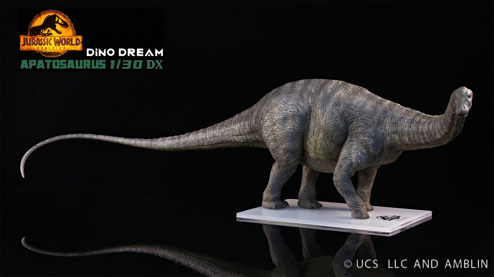 DINO DREAM 1:30 Scale Apatosaurus Model