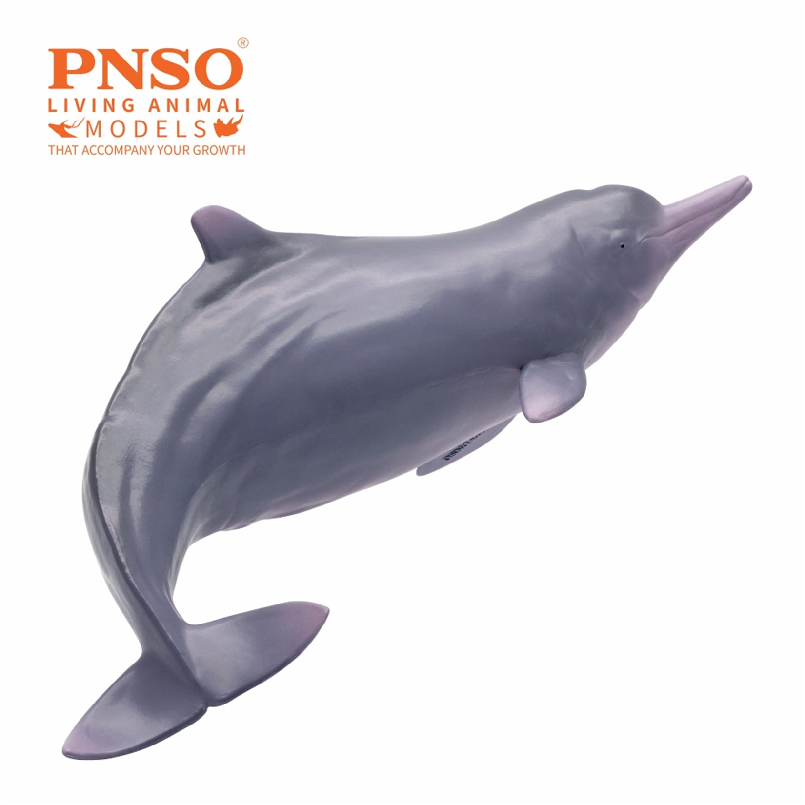 PNSO Living Animal 17 Xibao The Chinese White Dolphin Model