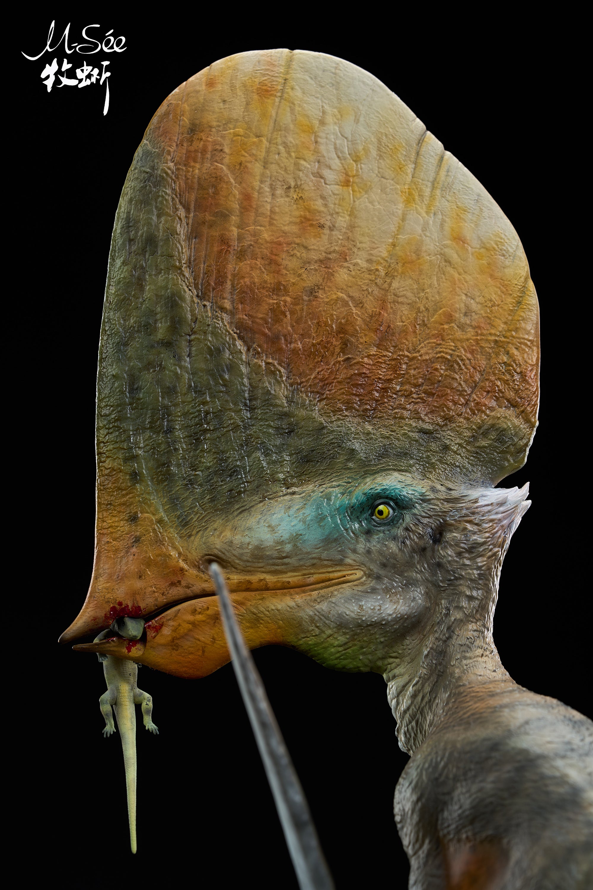 MuSee Studio 1/3 Scale Caiuajara dobruskii Model