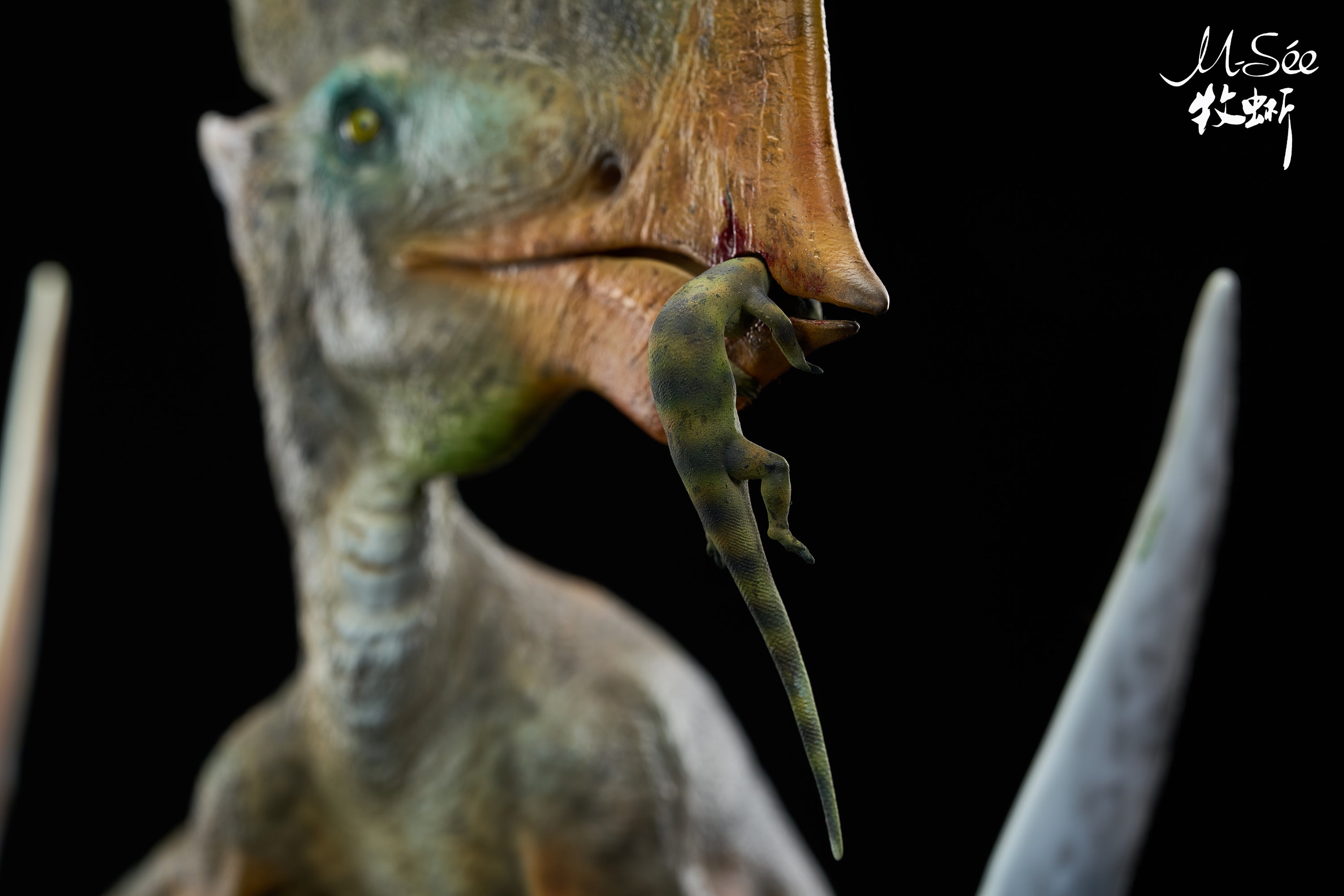 MuSee Studio 1/3 Scale Caiuajara dobruskii Model