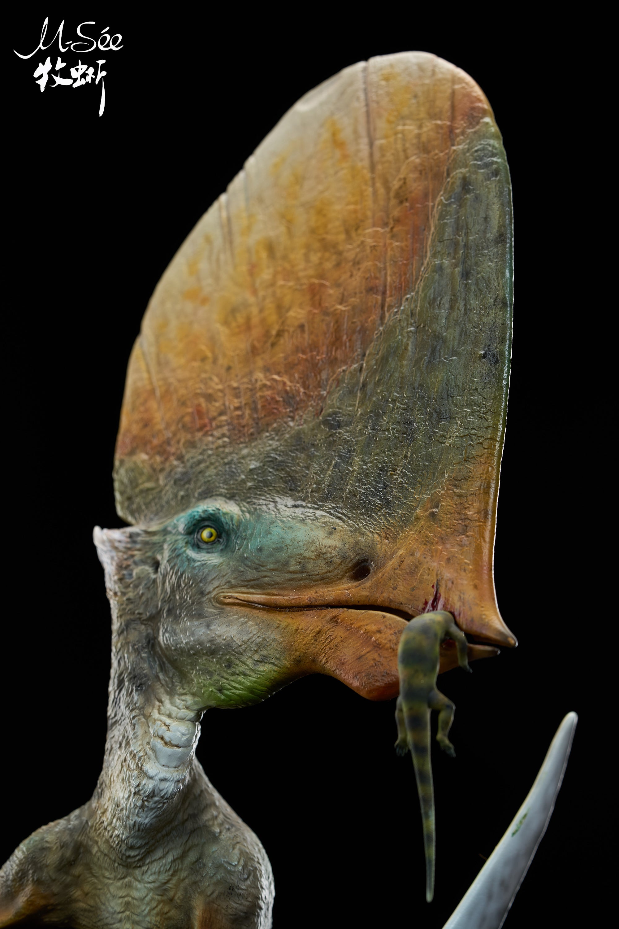 MuSee Studio 1/3 Scale Caiuajara dobruskii Model