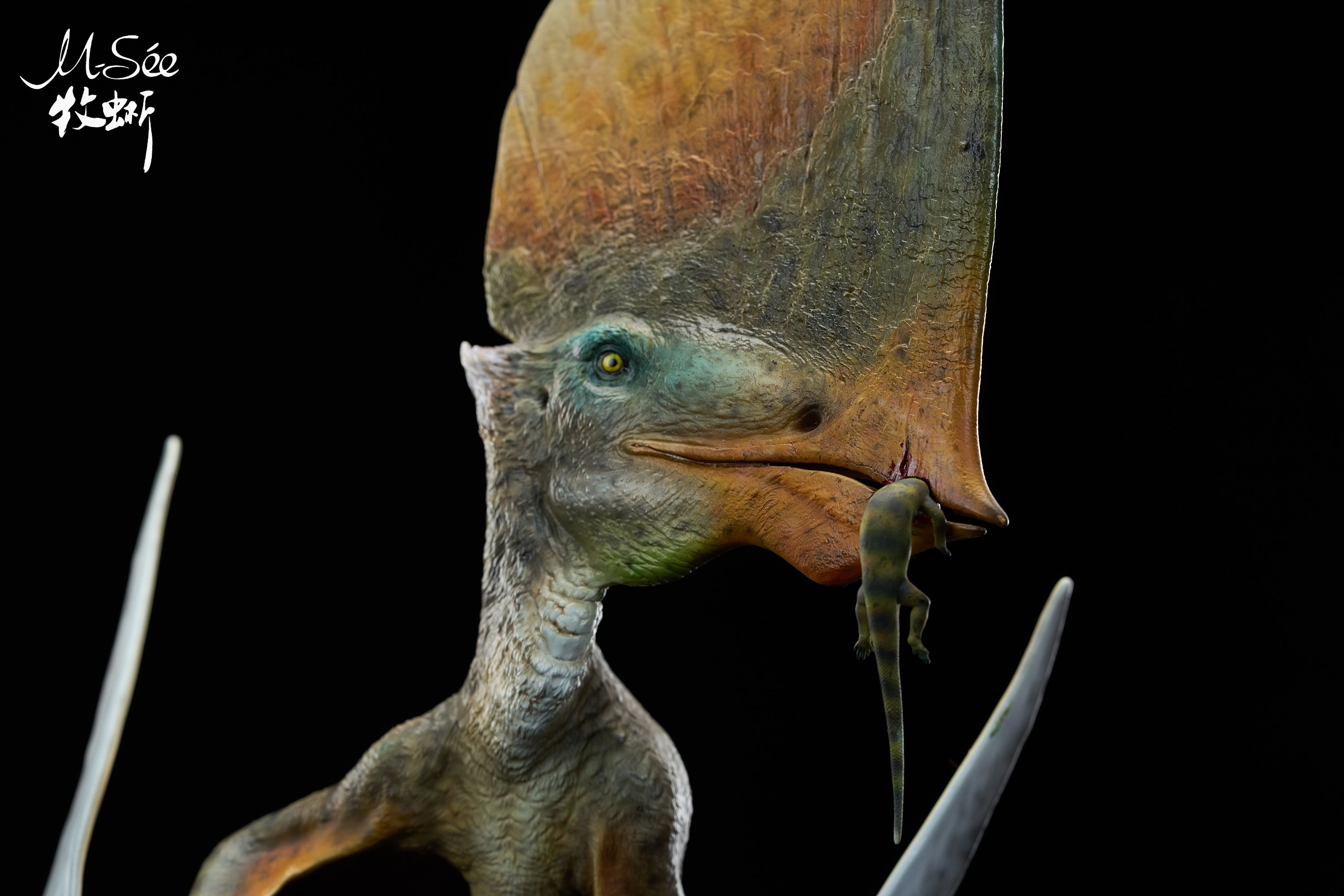 MuSee Studio 1/3 Scale Caiuajara dobruskii Model