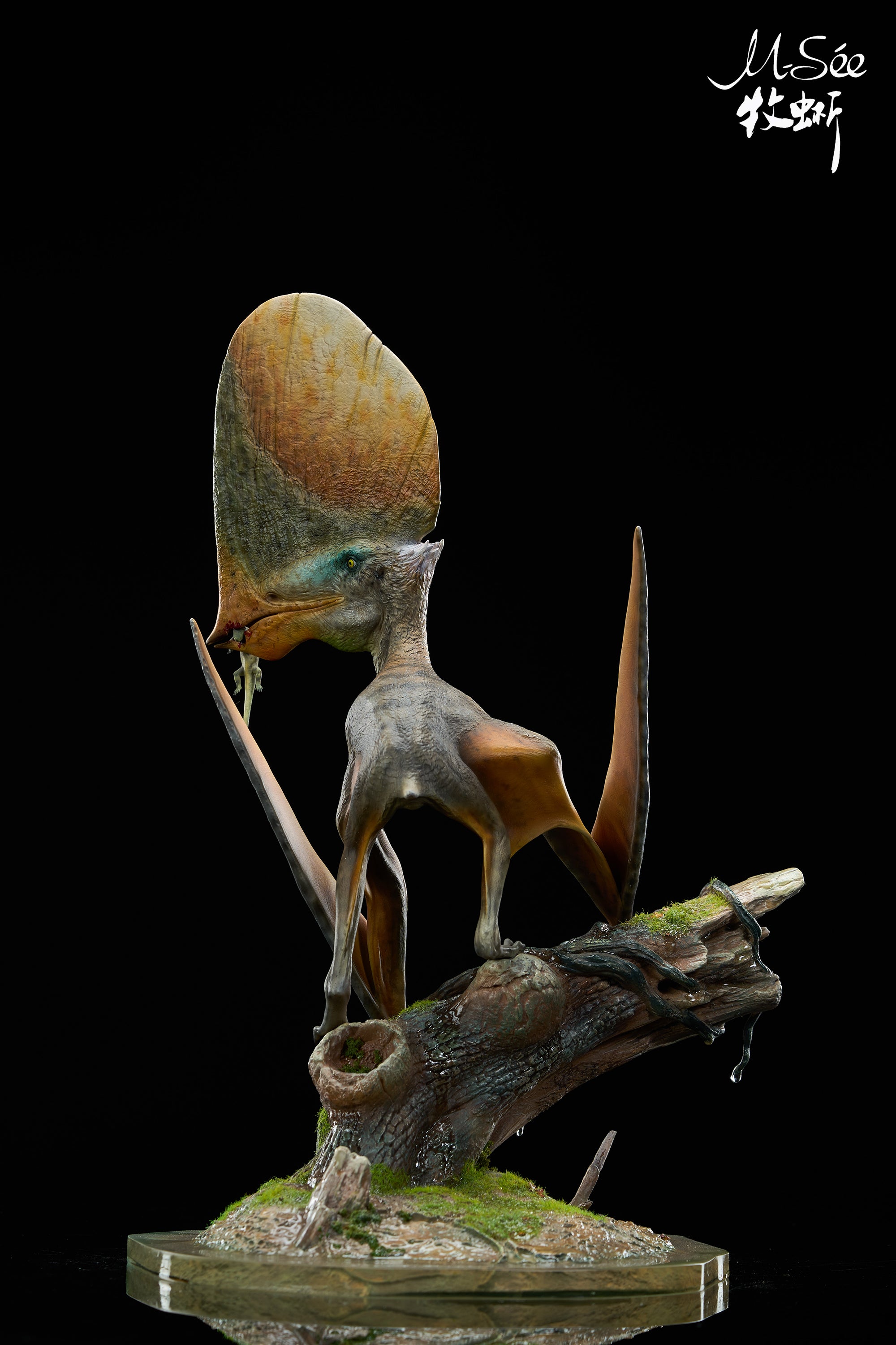 MuSee Studio 1/3 Scale Caiuajara dobruskii Model