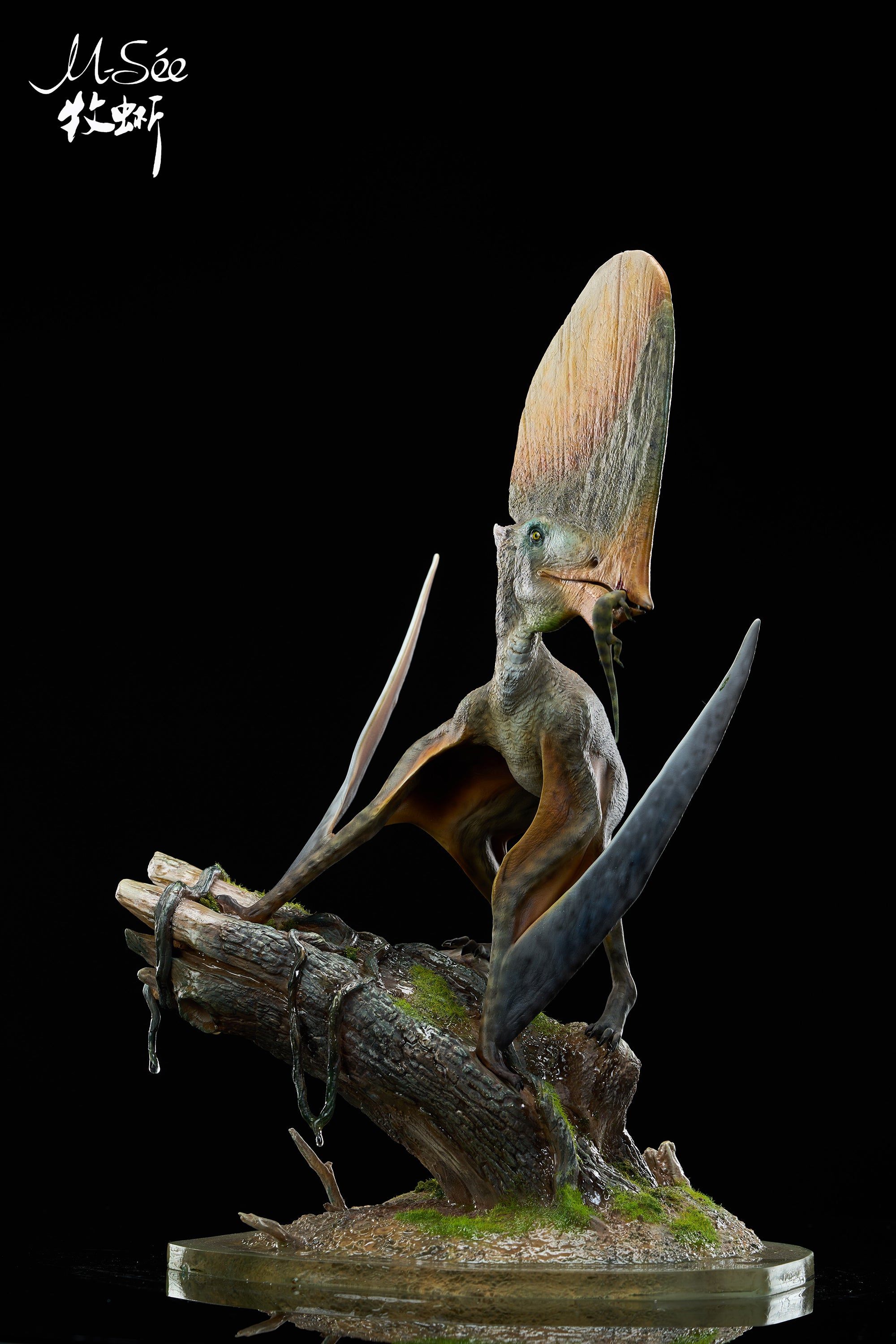MuSee Studio 1/3 Scale Caiuajara dobruskii Model