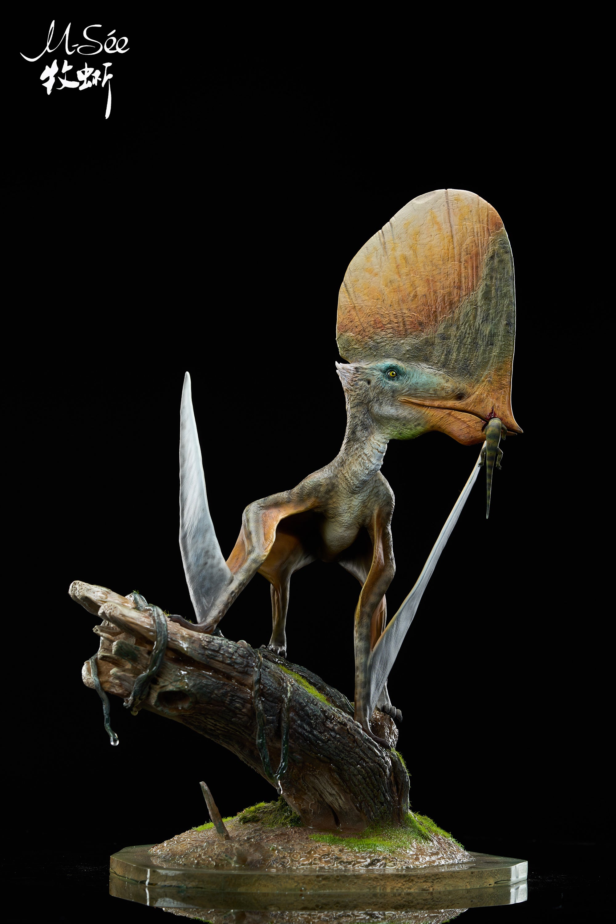 MuSee Studio 1/3 Scale Caiuajara dobruskii Model