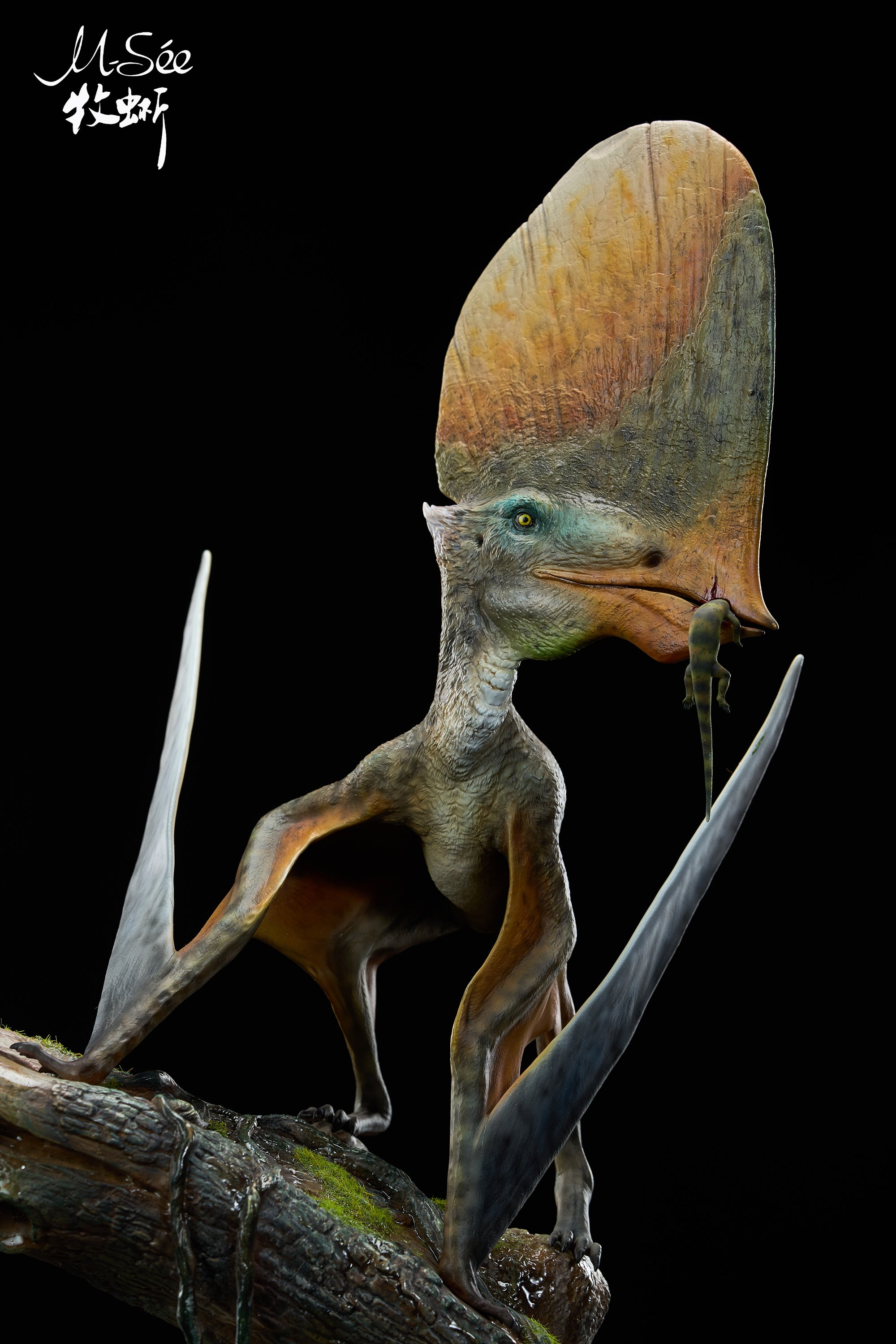 MuSee Studio 1/3 Scale Caiuajara dobruskii Model