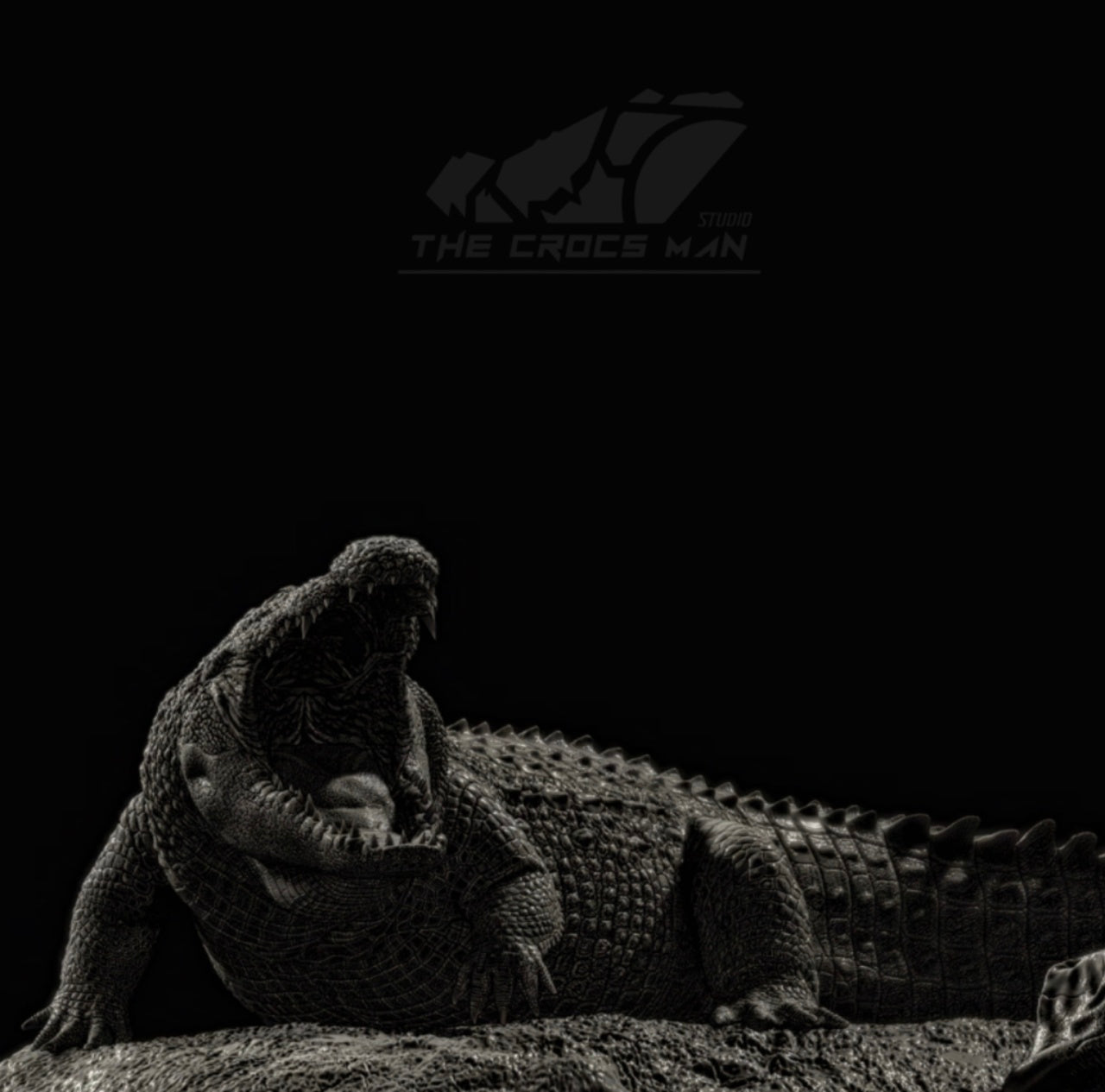 The Crocs Man Studio Nile Crocodile Gustave Model