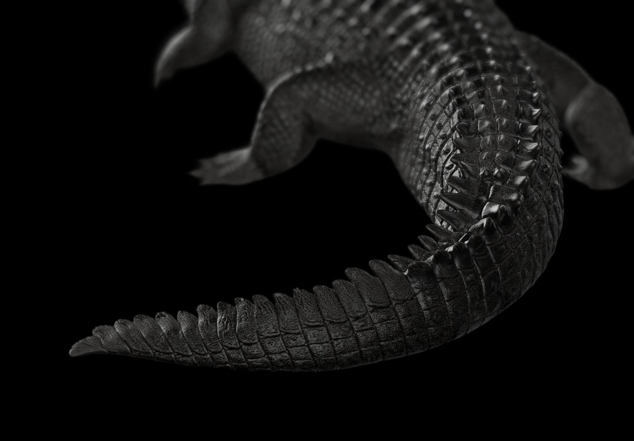 The Crocs Man Studio Nile Crocodile Gustave Model