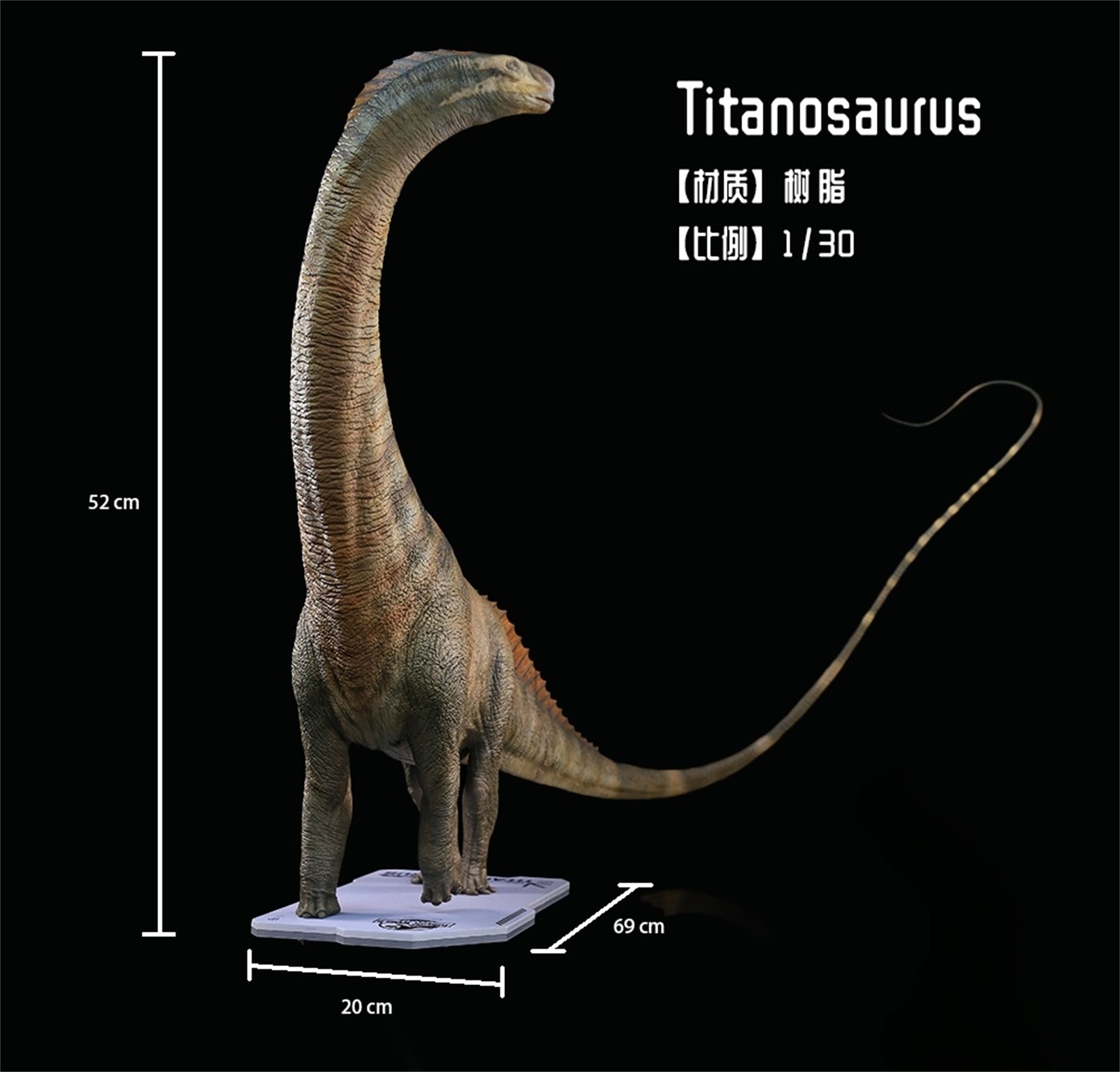 DINO DREAM 1:30 Scale Titanosaurus Model