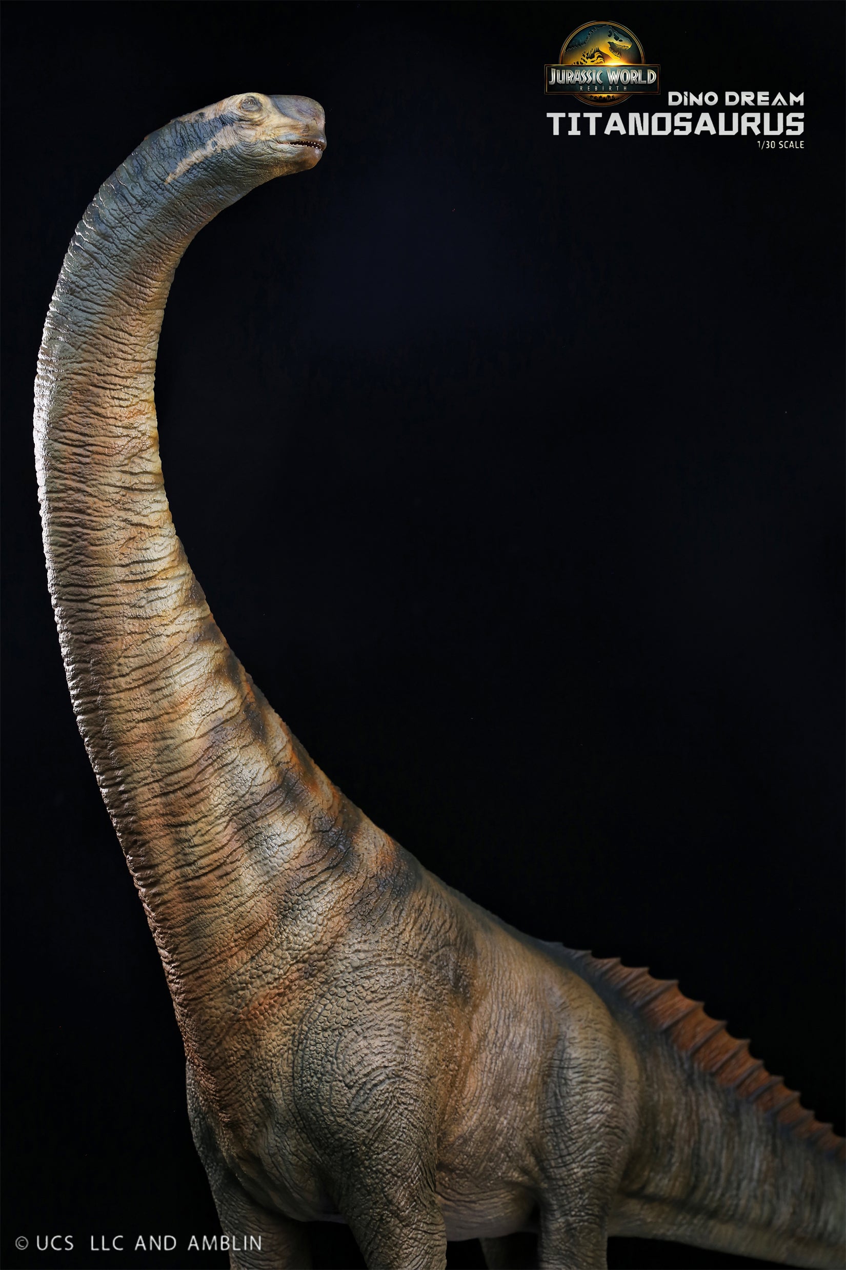 DINO DREAM 1:30 Scale Titanosaurus Model