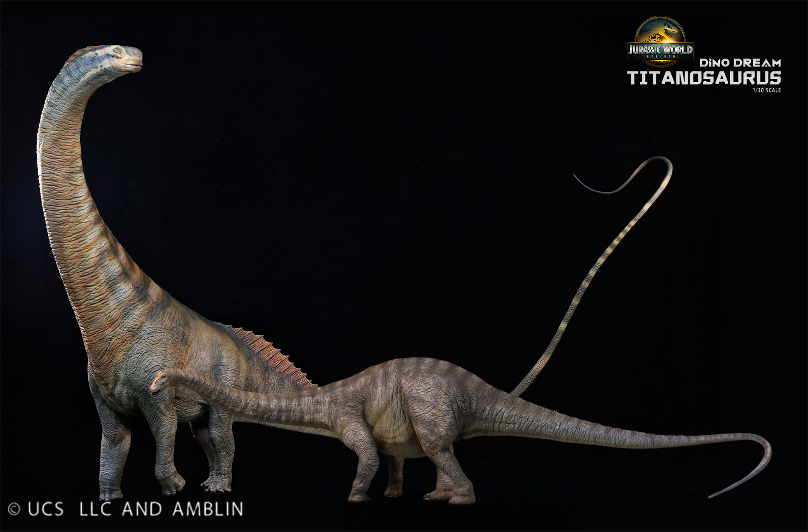 DINO DREAM 1:30 Scale Titanosaurus Model