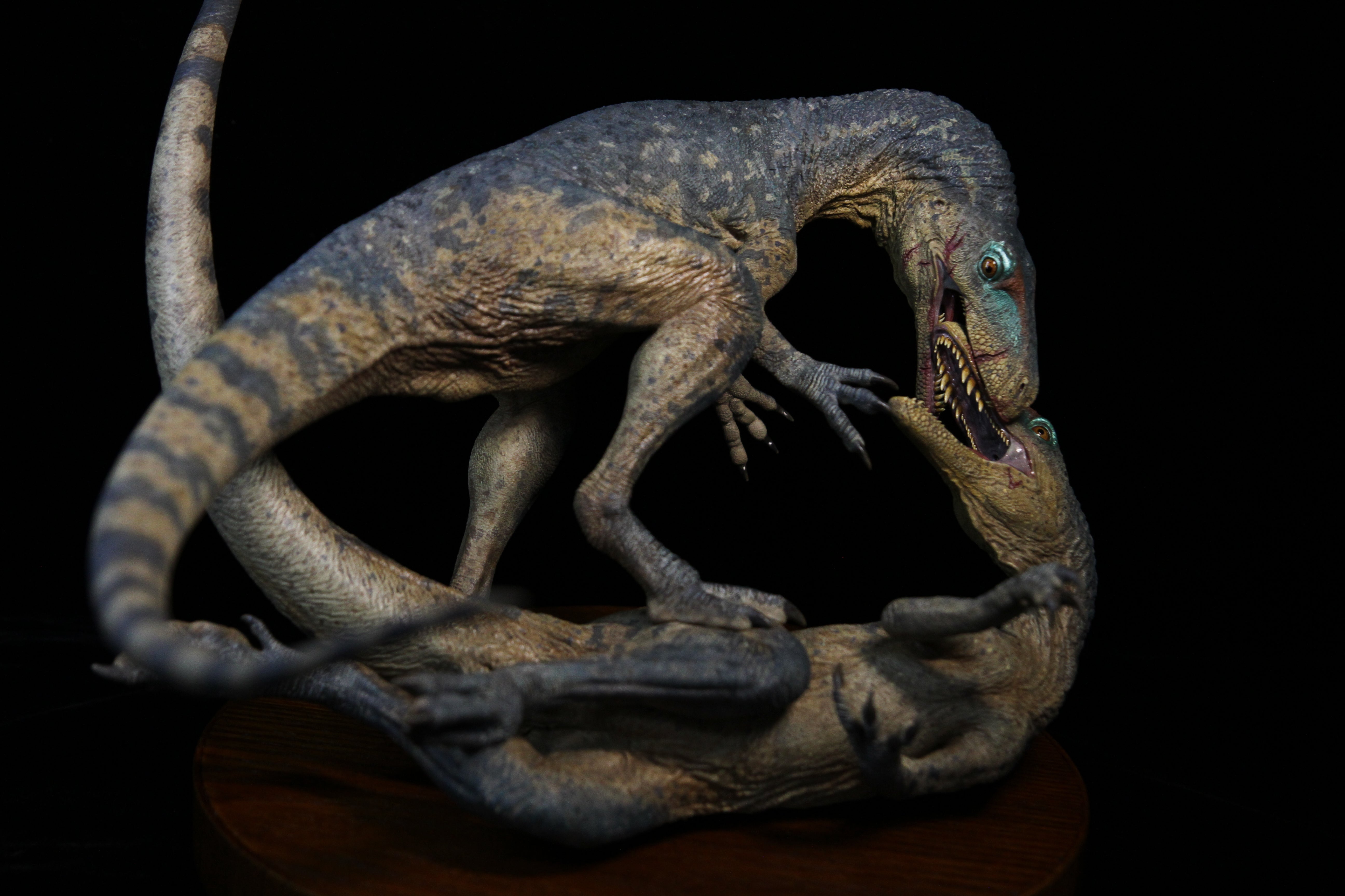 SHOWANNA 1/6 Scale Gnathovorax cabreirai Model