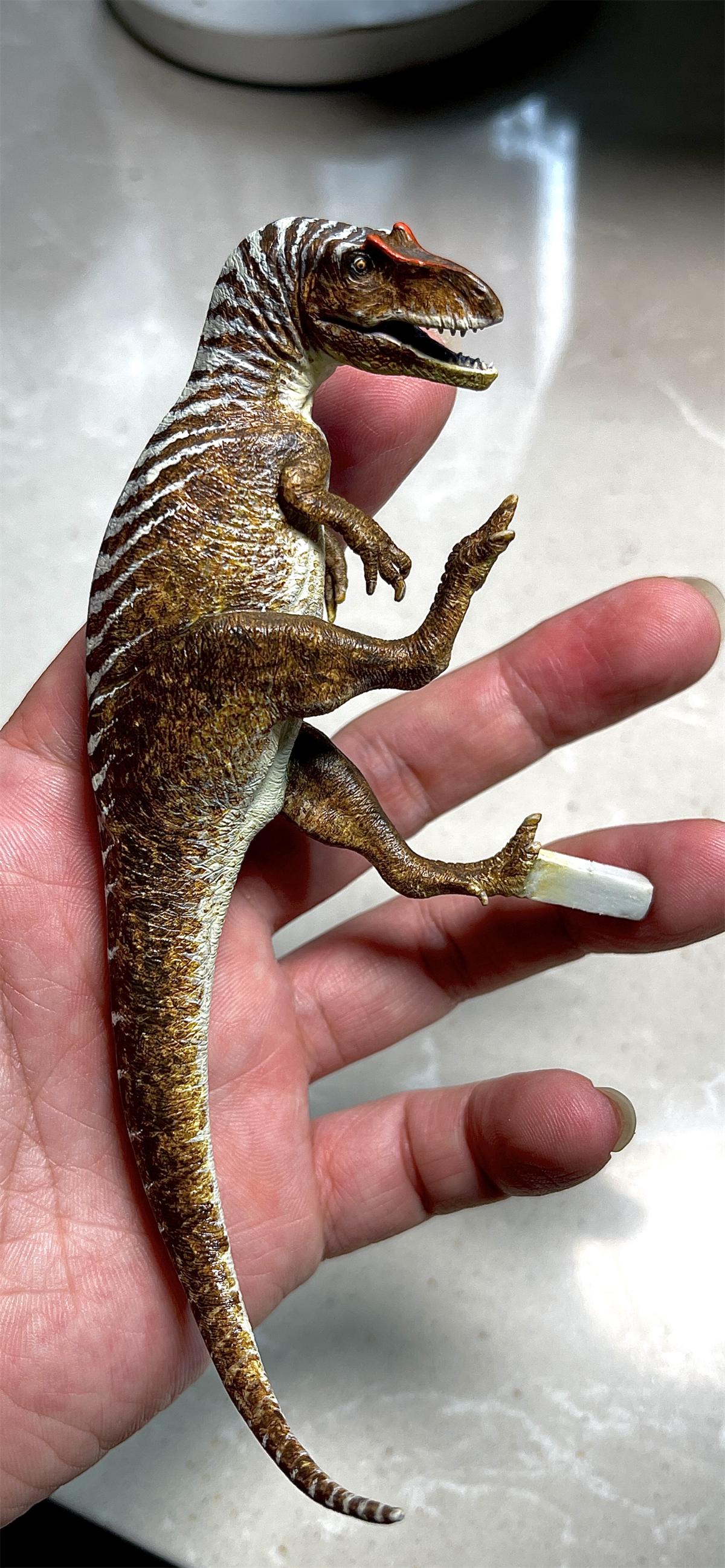 Sensen 1:20 Scale Polar Allosaur Leaellynasaura Koolasuchus Scene Model