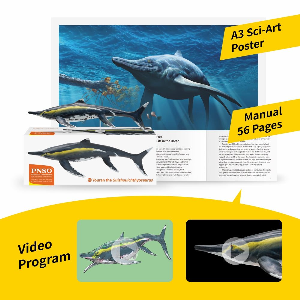 PNSO 90 Youran Guizhouichthyosaurus Model